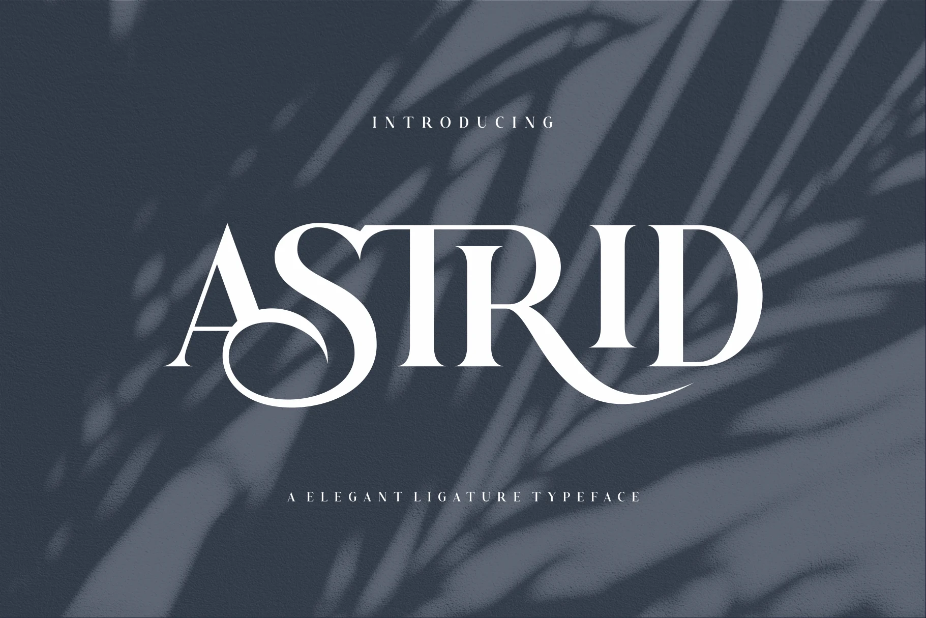 Astrid Font preview from a Serif Fonts collection