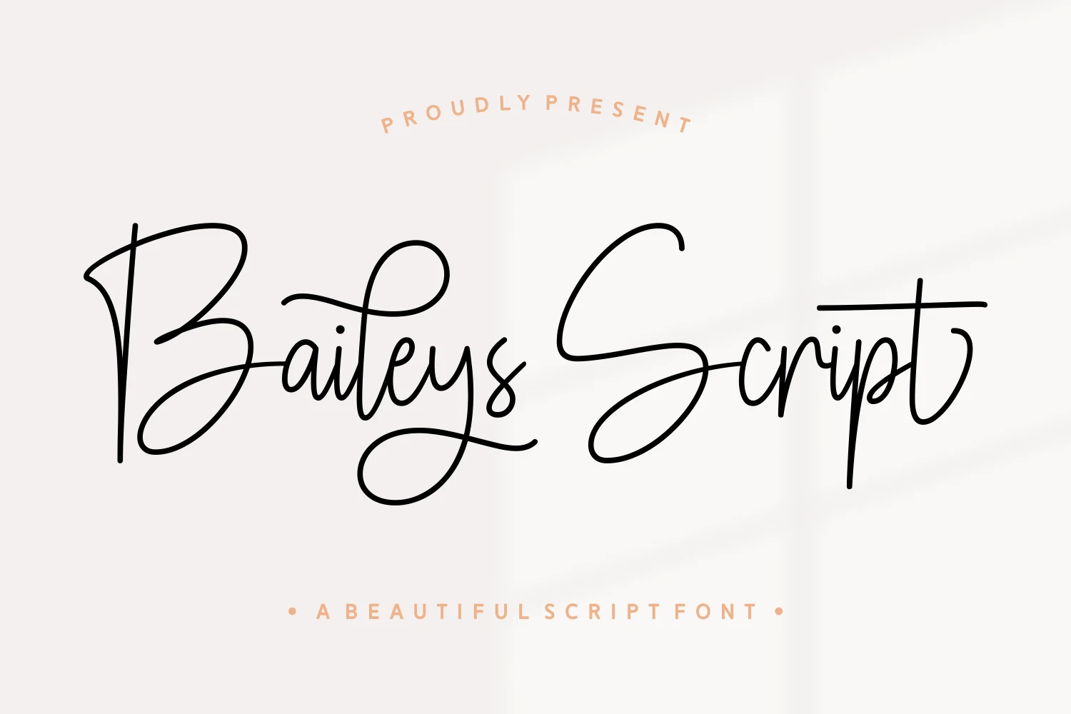 Baileys Script Font preview with thin black looped script lettering