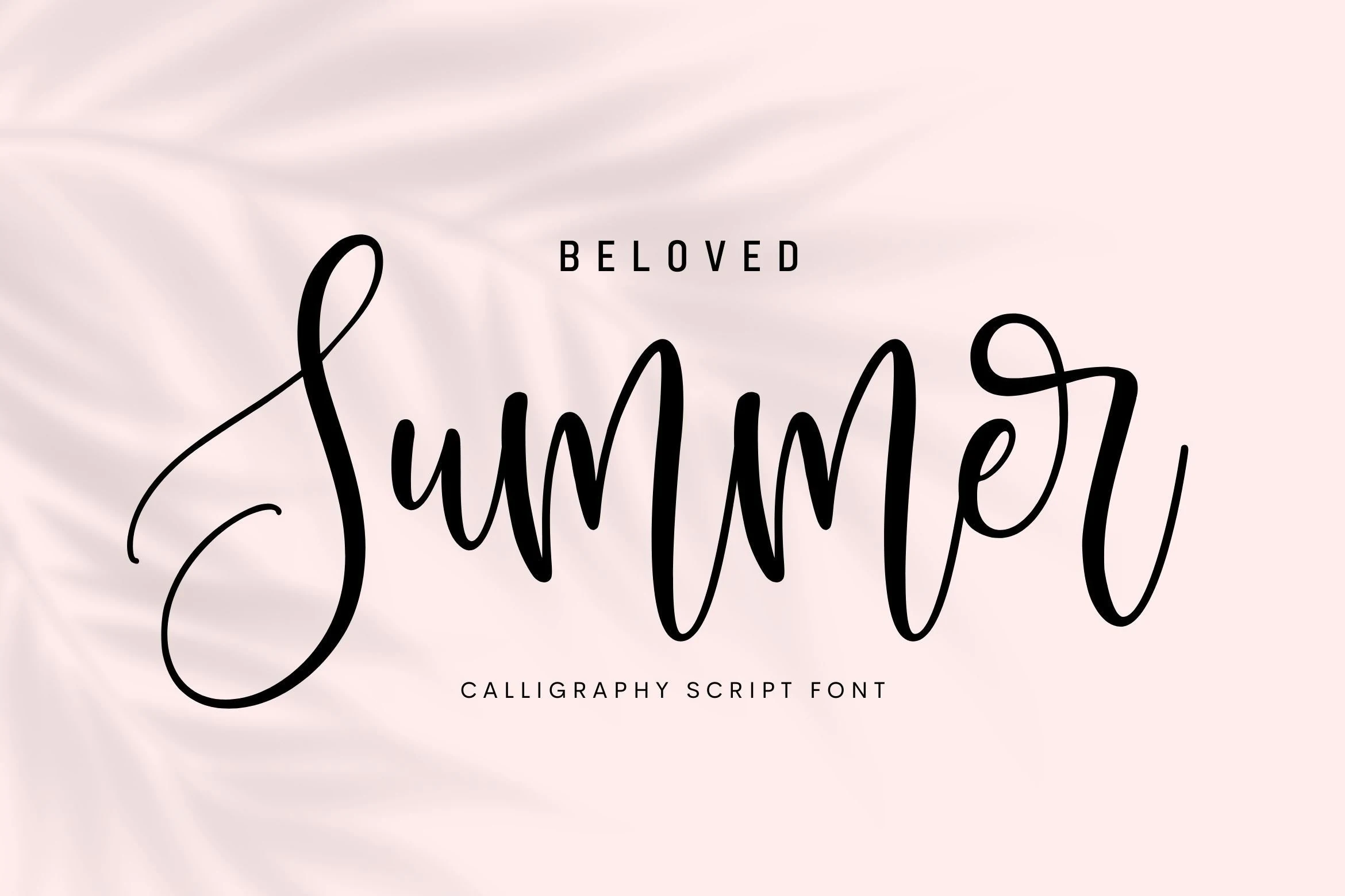 Beloved Summer Font preview with black bouncy calligraphy script on a soft blush background
