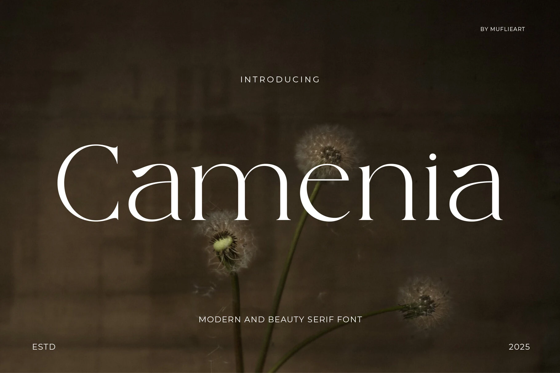 Camenia Font preview with white high-contrast serif lettering and soft curved terminals for premium branding
