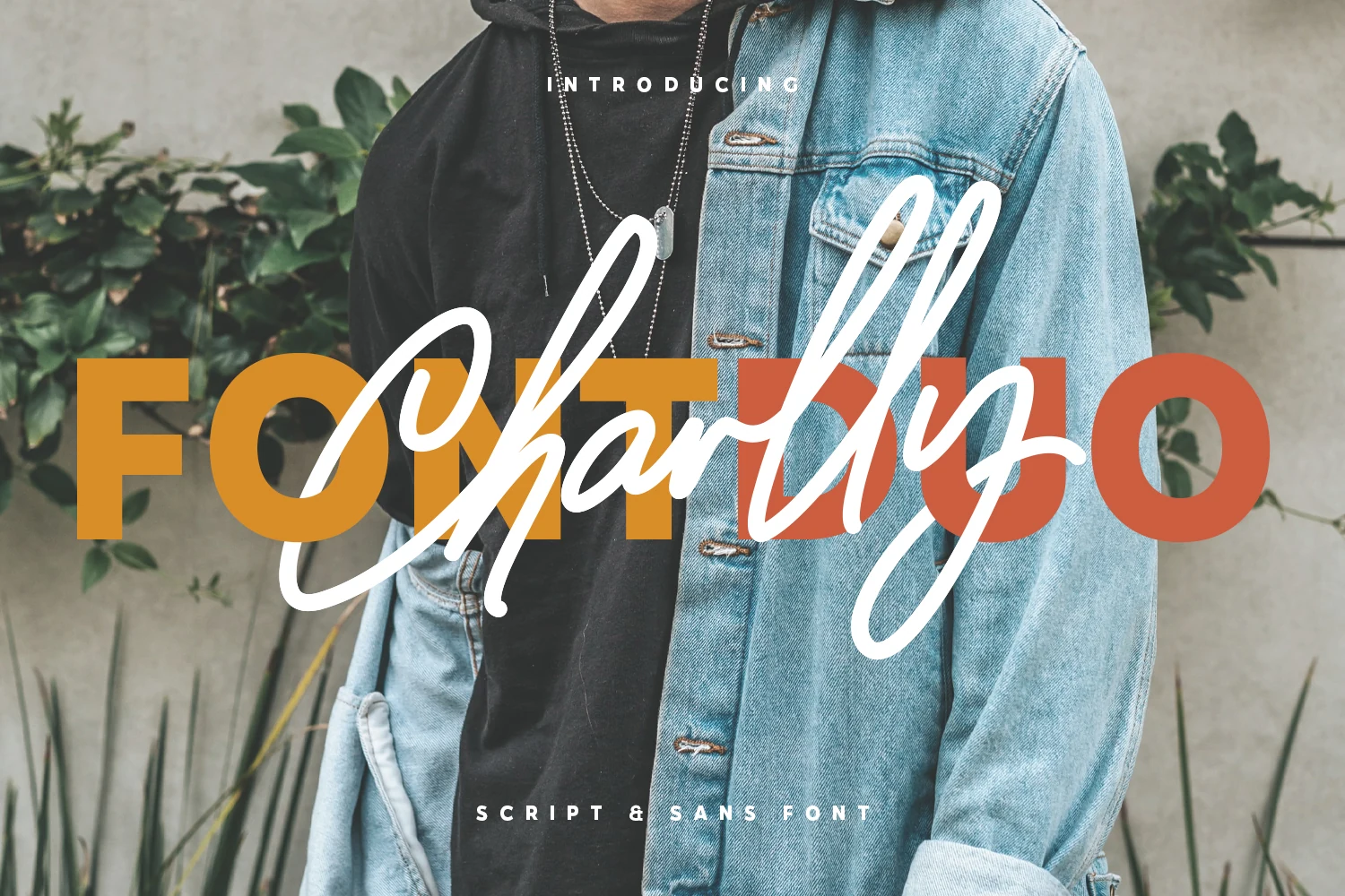 Charlly Font preview with bold sans and flowing script lettering