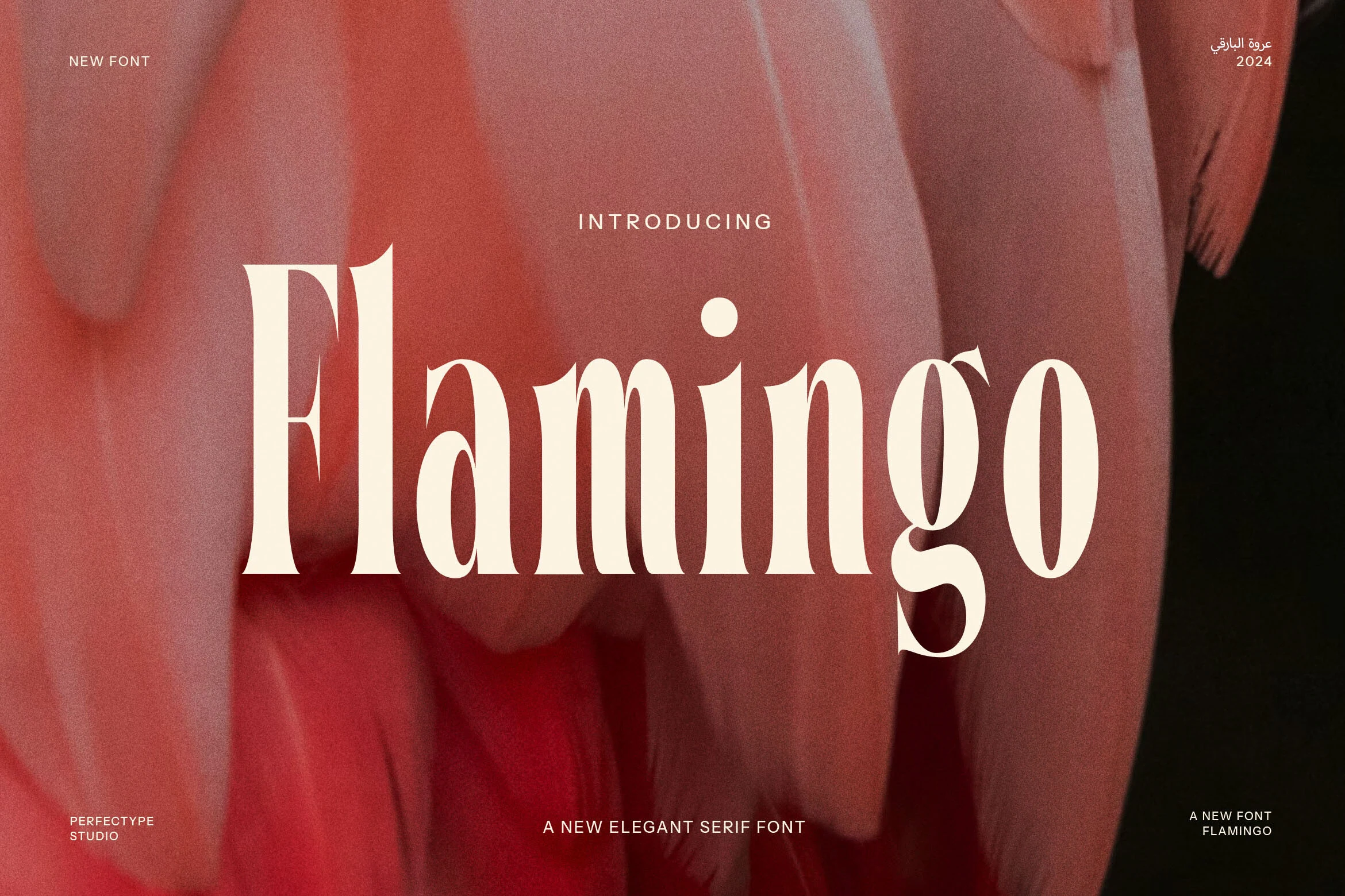 Flamingo Font preview with elegant high-contrast serif lettering and refined curves