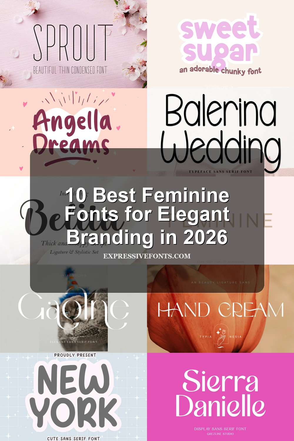 Pininterest Expressive Lettering 10 Best Feminine Fonts for Elegant Branding in 2026 - Expressive Fonts