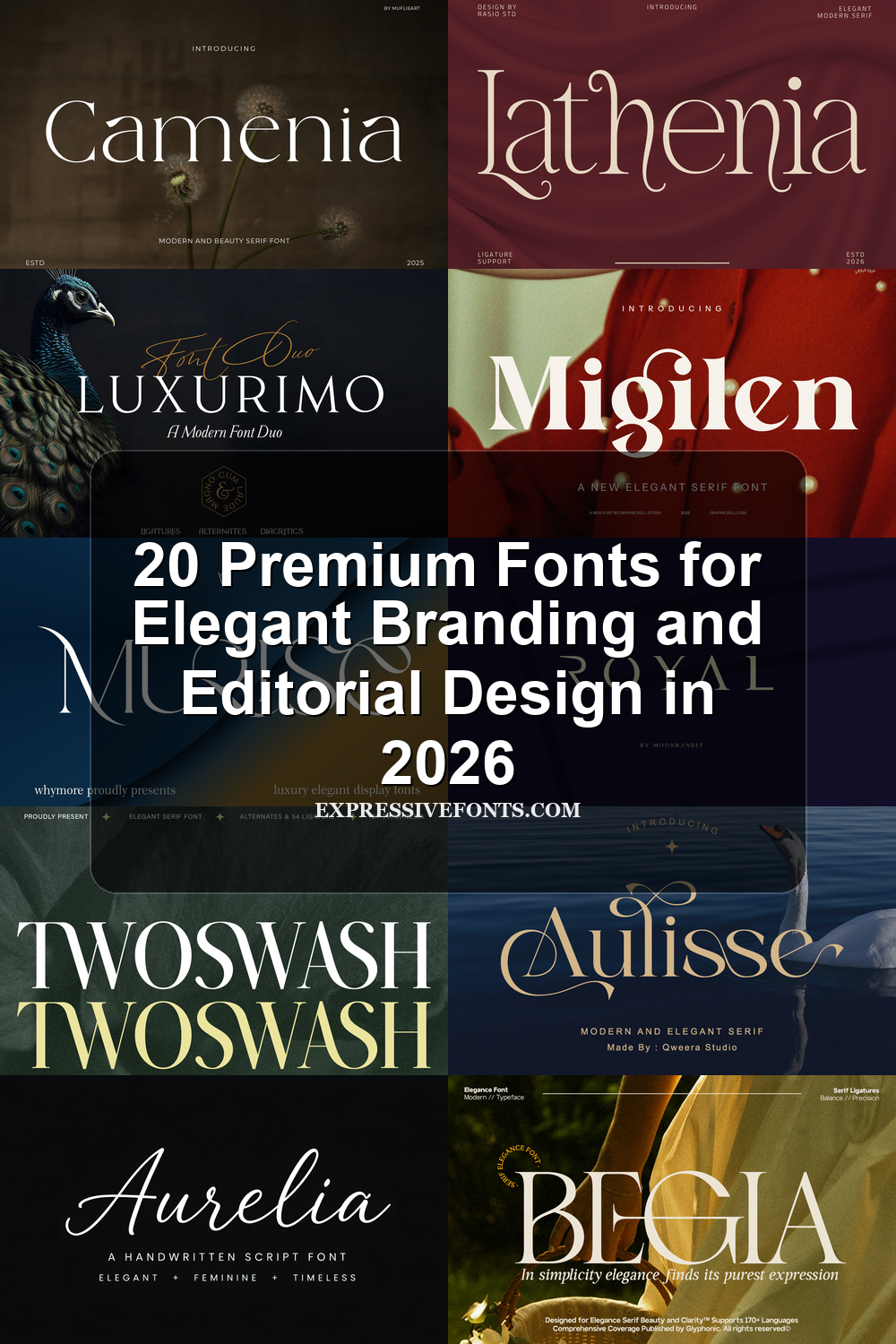 Premium Fonts preview cover featuring elegant serif, signature script, and minimal sans serif lettering examples