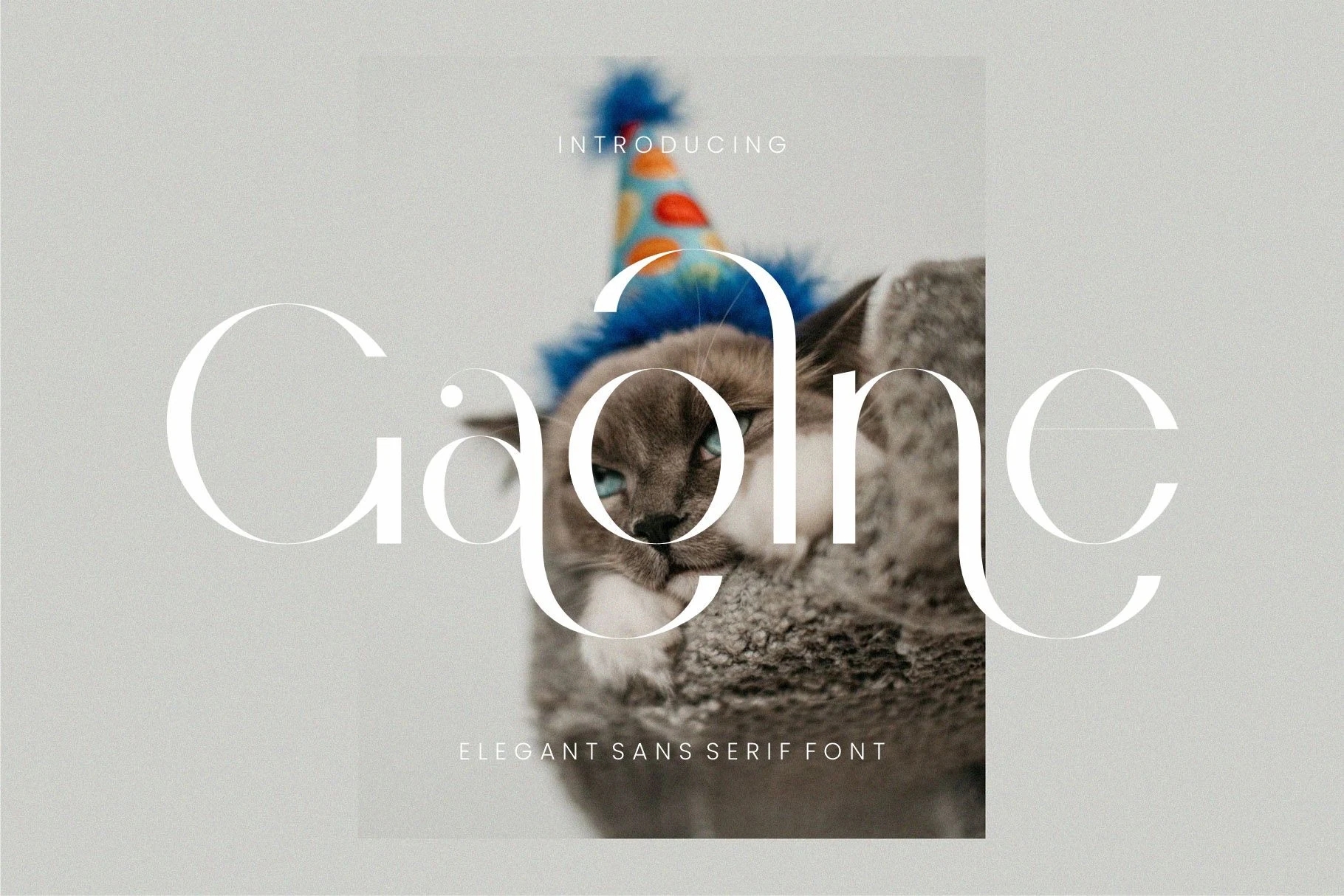 Gaolne Font preview with elegant high-contrast sans serif lettering and thin curved strokes