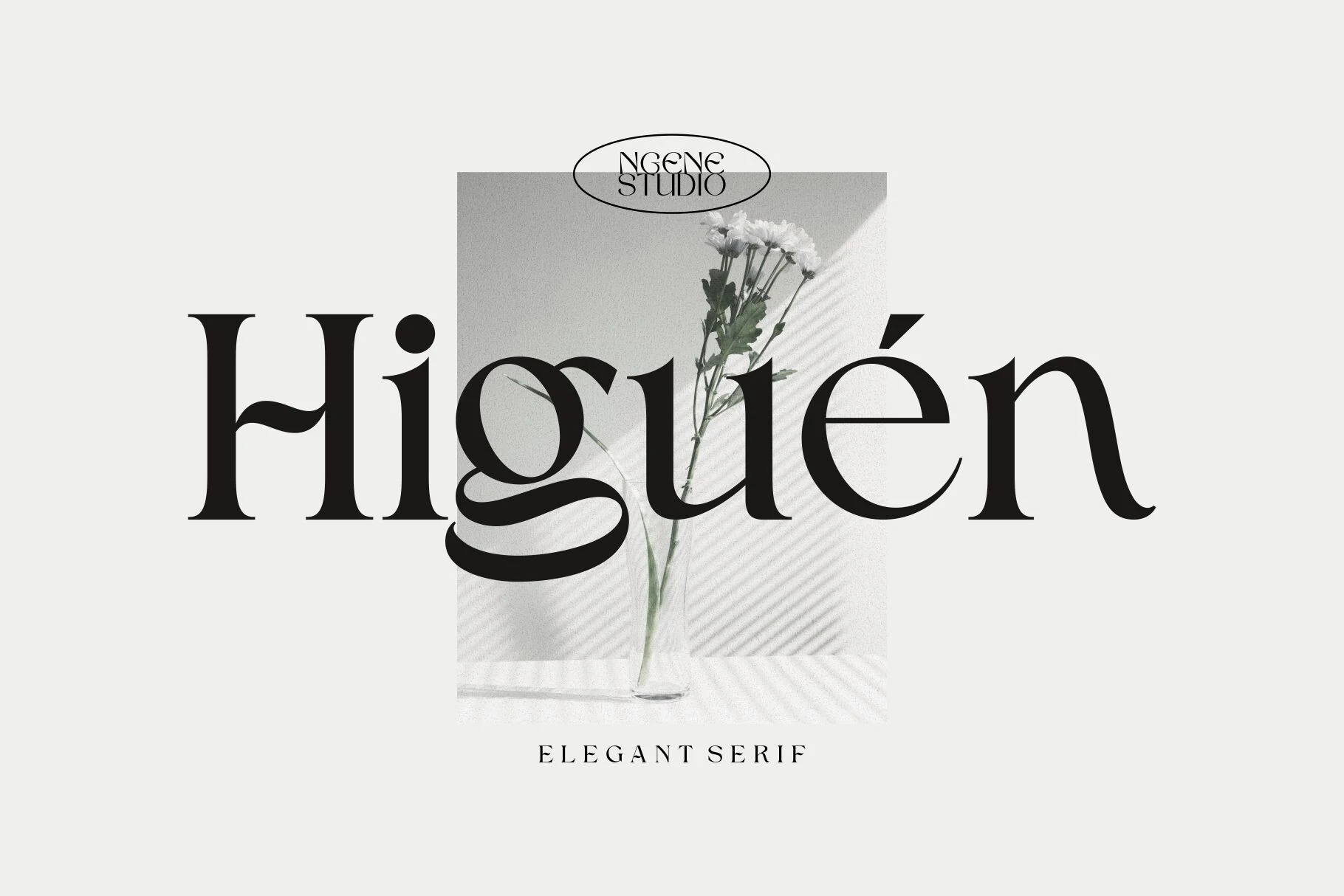 Higuen Font preview with bold black vintage serif lettering and dramatic curved terminals