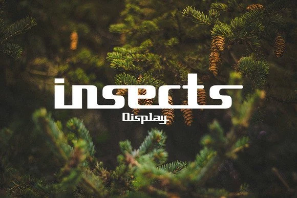 Insects Font preview with retro-futurist display lettering