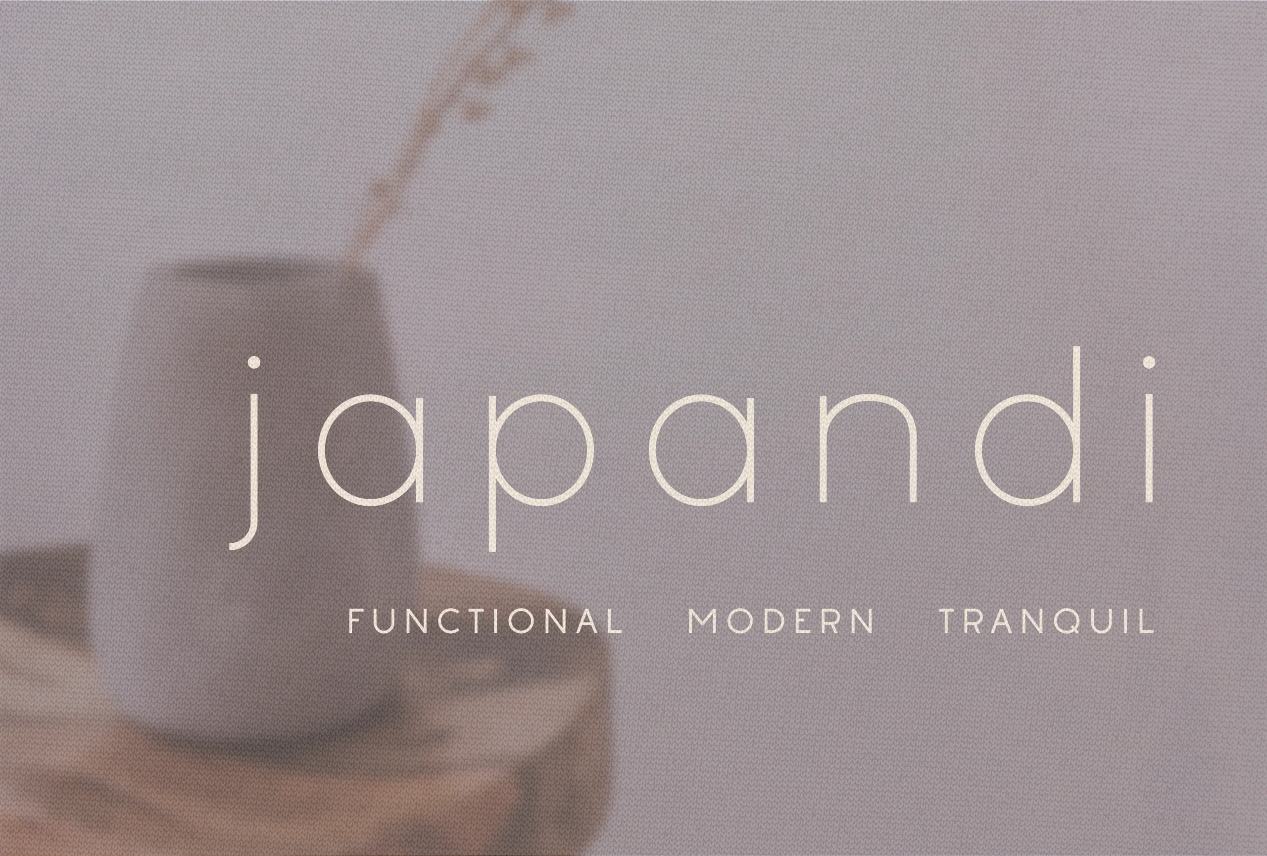 Japandi Font preview with thin light geometric sans serif lettering