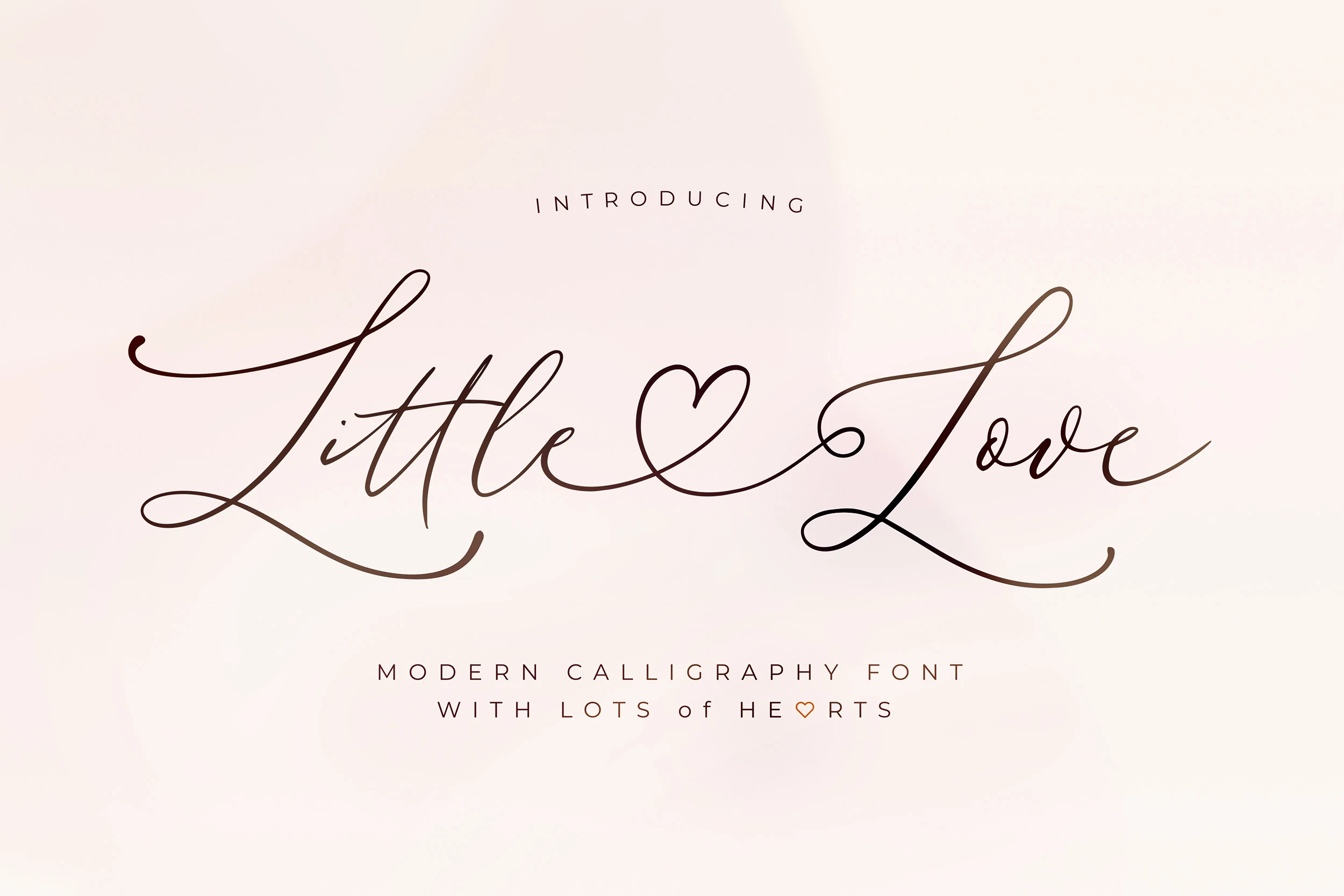 Little Love Font preview with thin script lettering and long graceful swashes