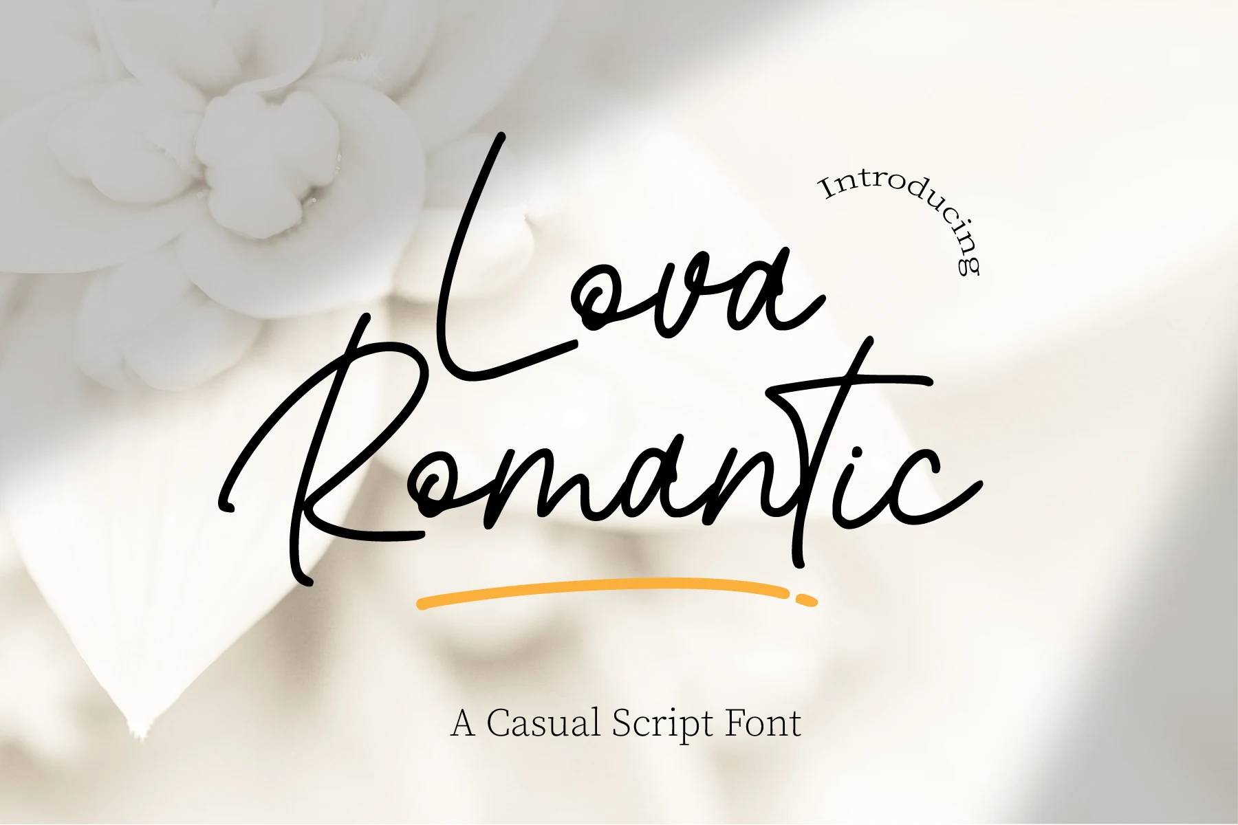 Lova Romantic Font preview with black casual script, tall loops, and loose handwritten strokes