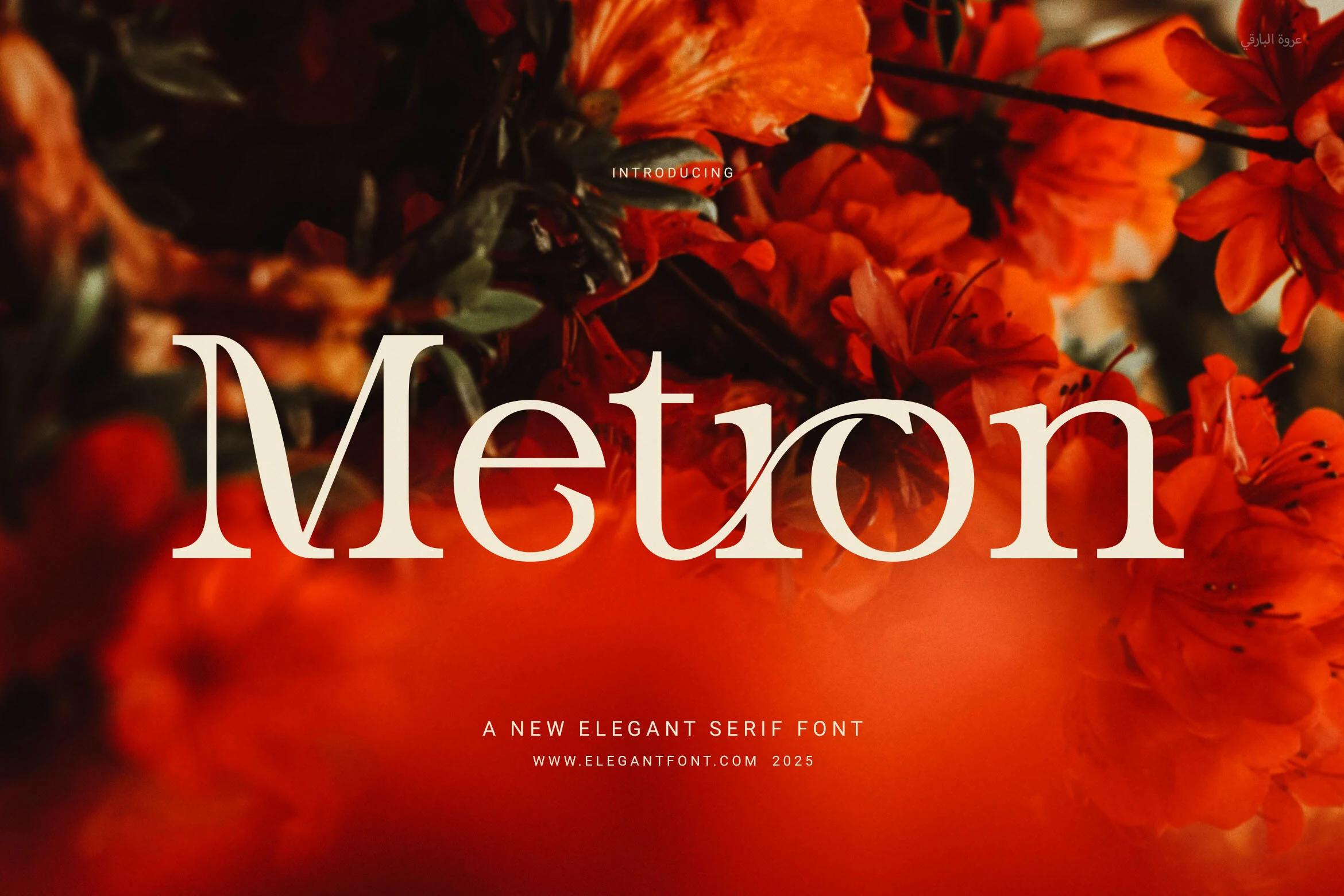 Metron Font preview with elegant high-contrast serif lettering for logo design
