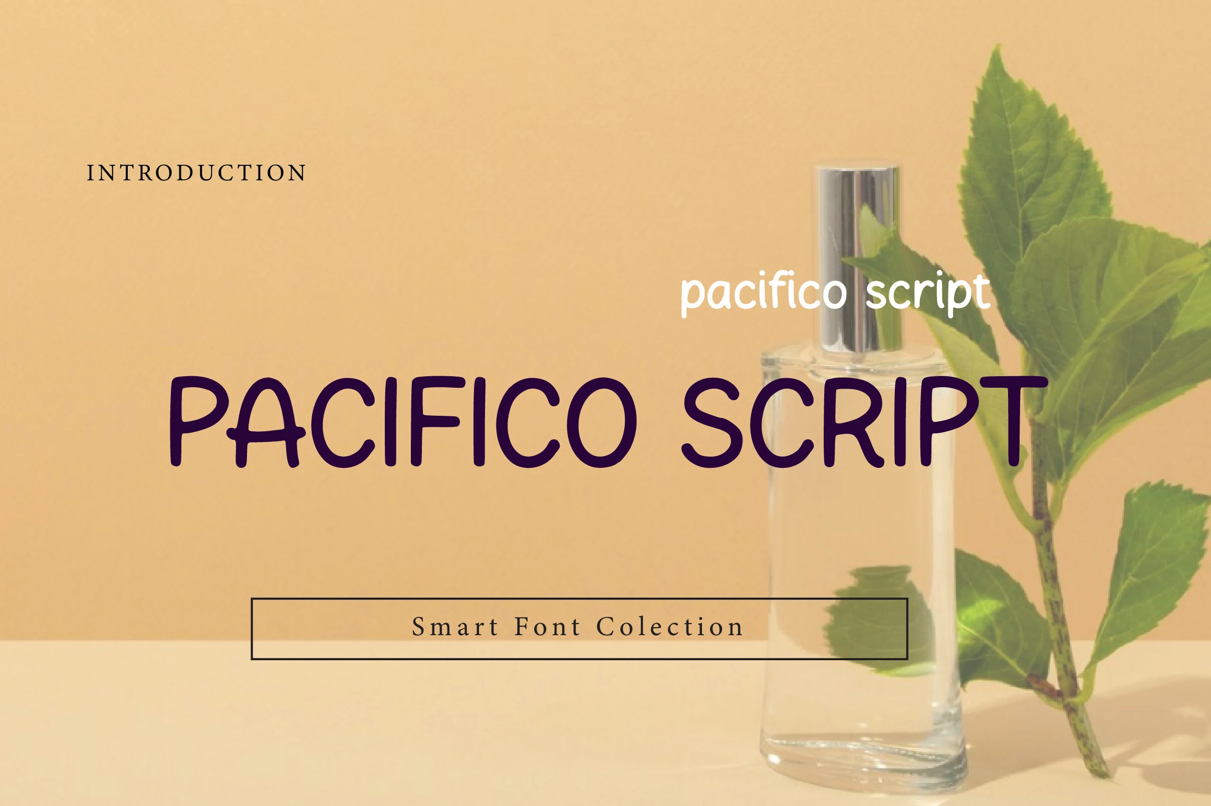 Pacifico Script Font preview with rounded purple surf-inspired lettering