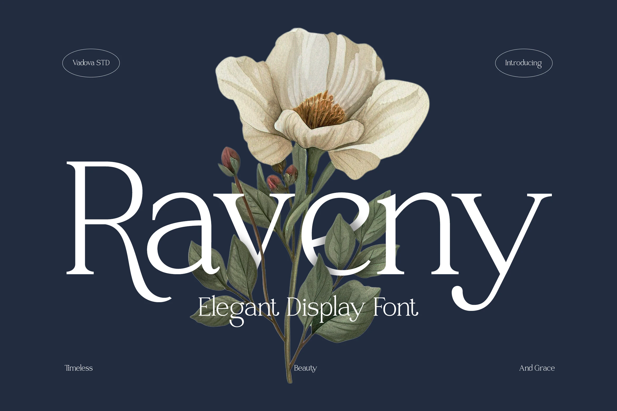 Raveny Font preview from a Serif Fonts collection