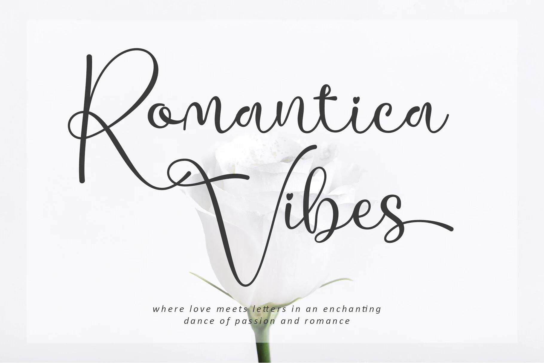 Romantica Vibes Font preview with thin connected script, long swashes, and heart-like dots