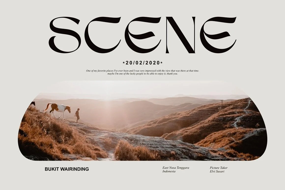 Sego Font preview with black uniquely shaped serif lettering and sweeping curved terminals