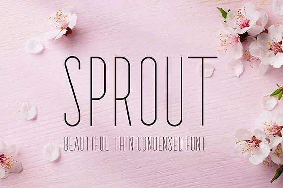 Sprout Font thin condensed sans lettering with delicate tall shapes