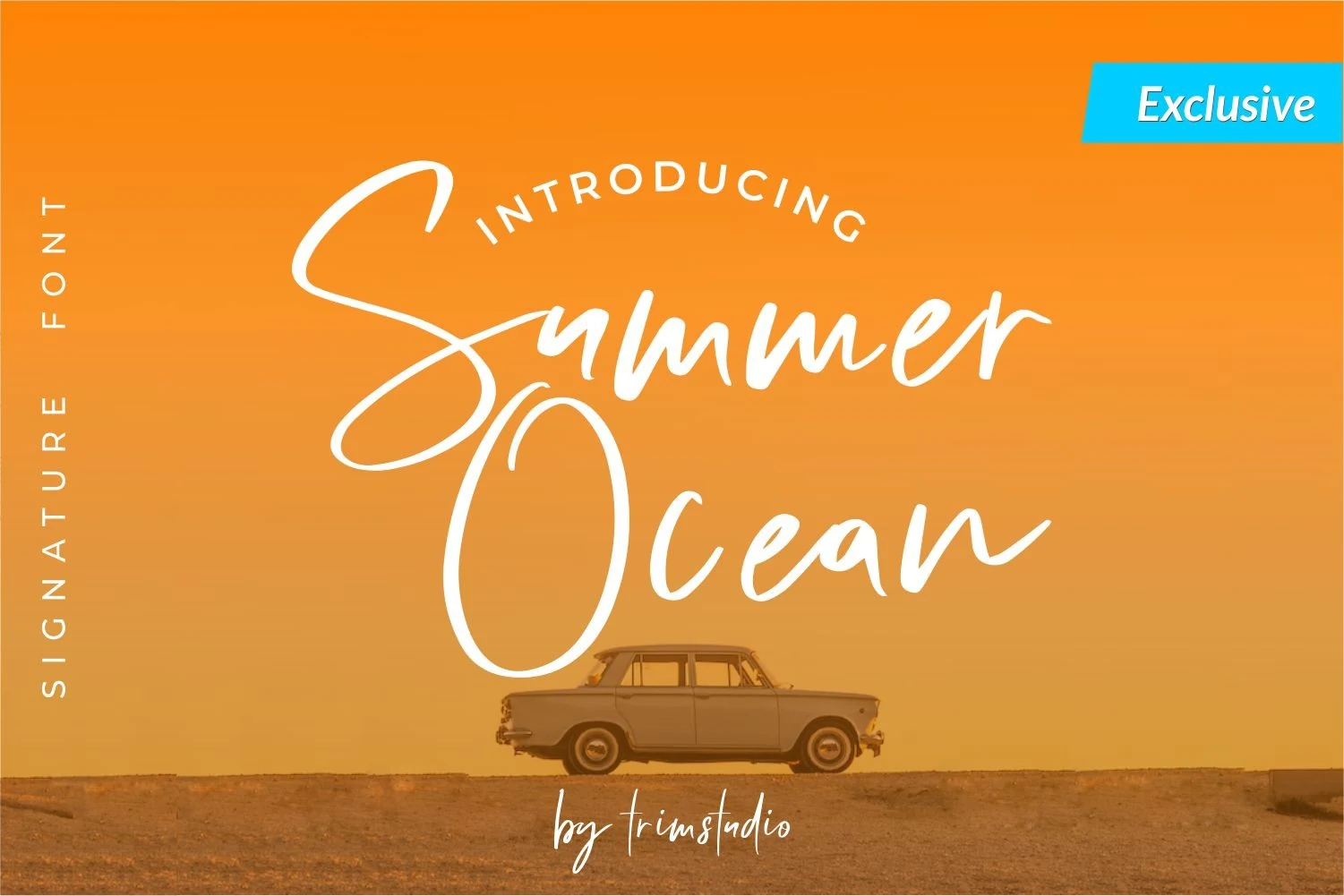 Summer Ocean Font white flowing handwritten script with long loops and casual beach-style lettering