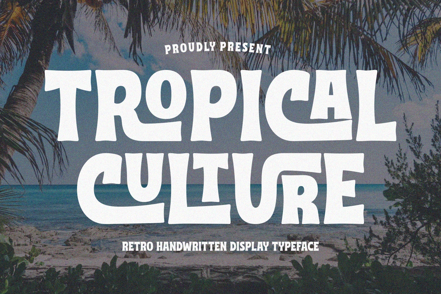 Tropical Culture Font preview with bold retro white display lettering and curved vintage shapes