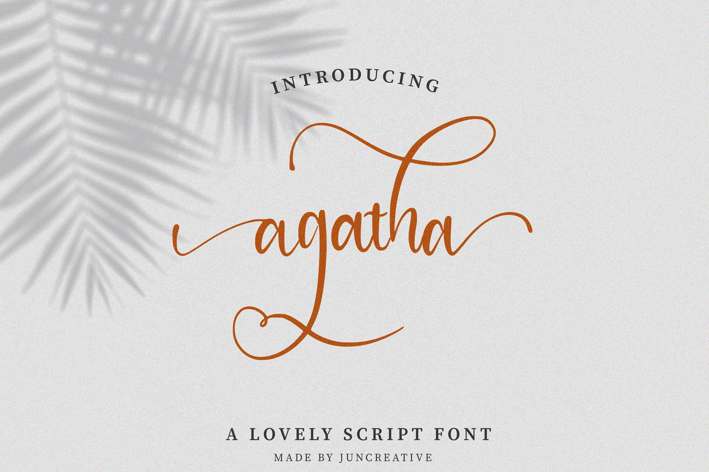 Agatha Font orange delicate script lettering with long swashes and thin loops
