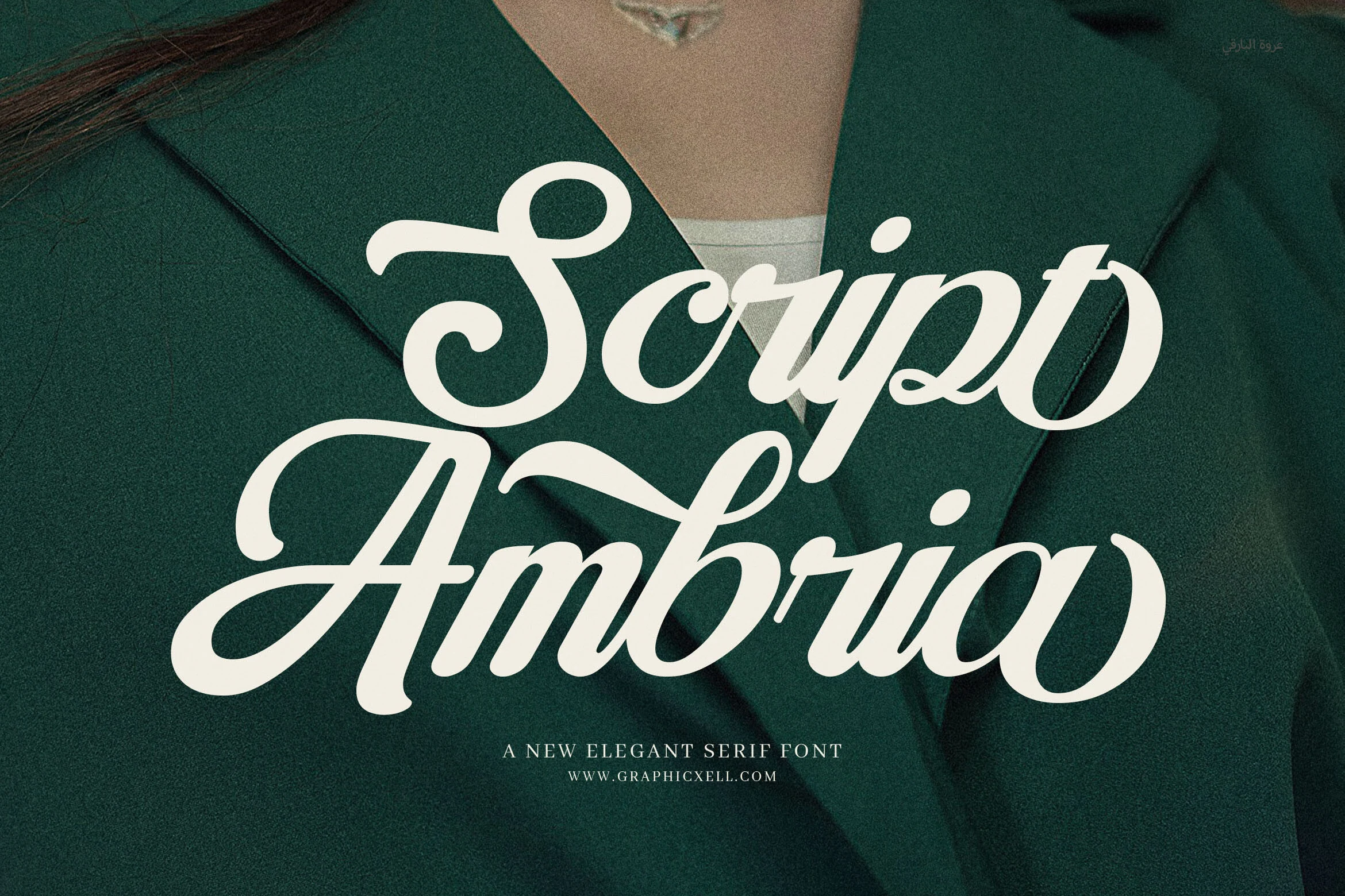Ambriana Font bold cream calligraphy script with looping swashes