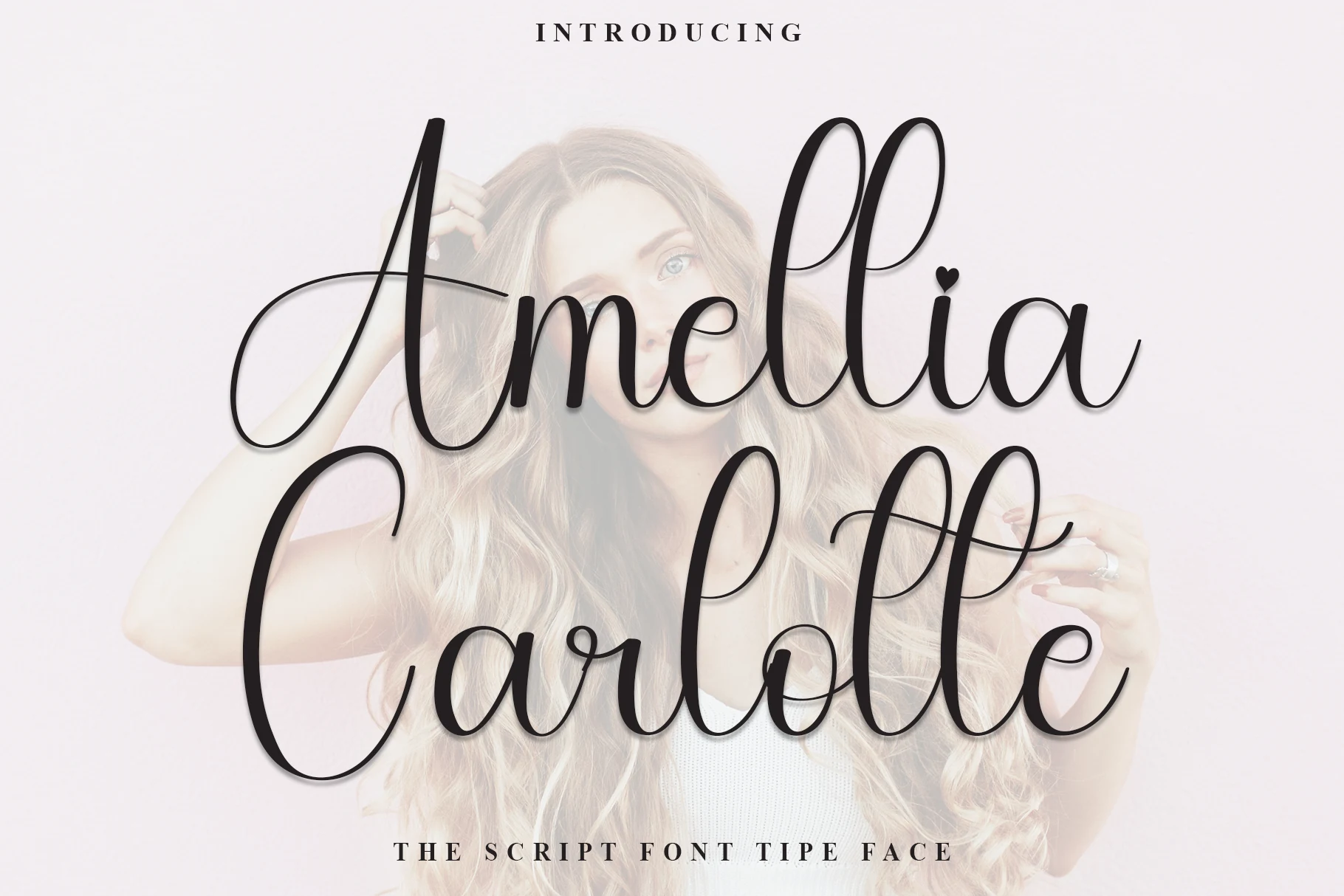 Amellia Carlotte Font preview in delicate black script with looping capitals and a heart accent