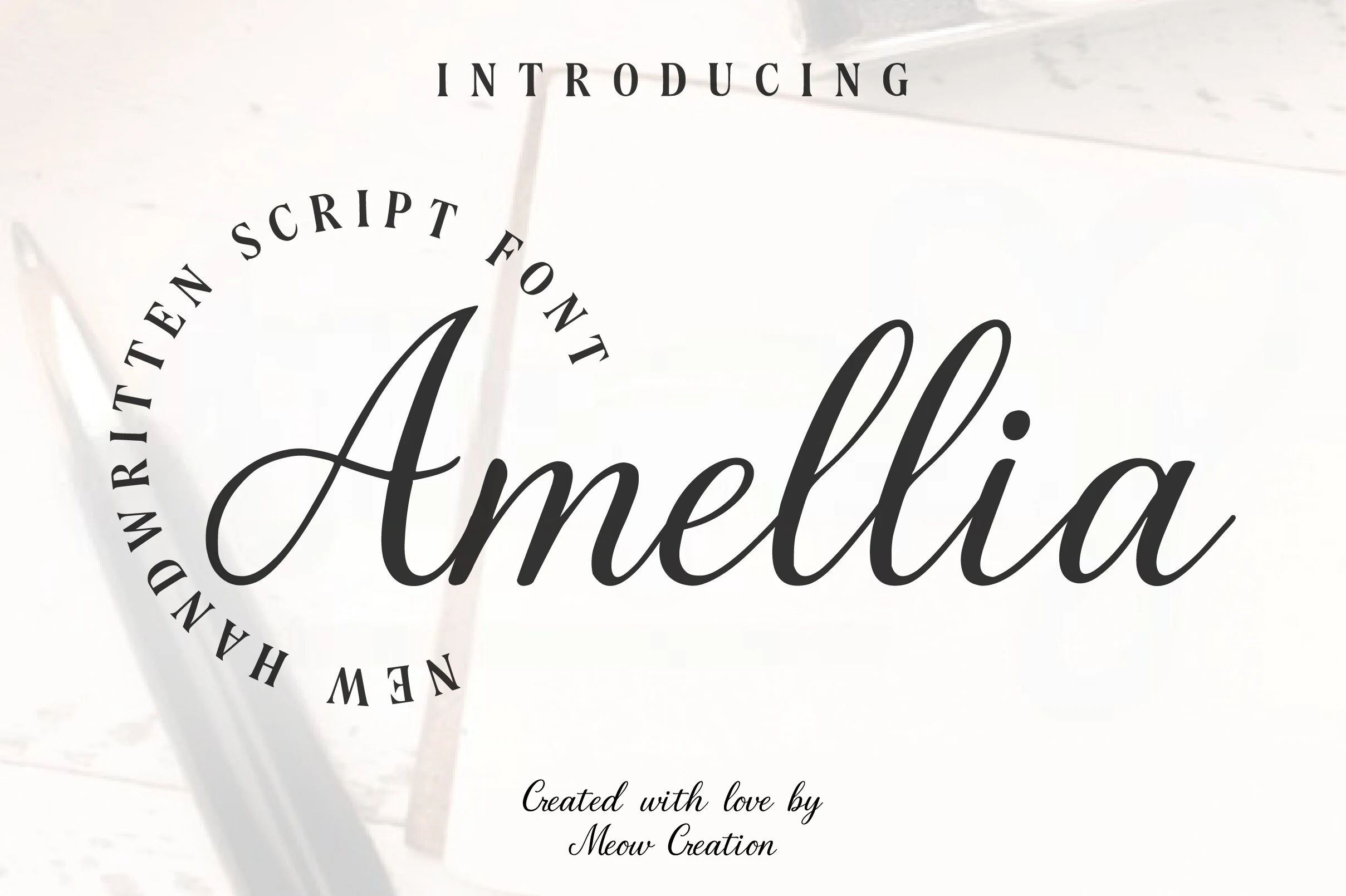 Amellia Font elegant black handwritten script with smooth loops and high contrast strokes