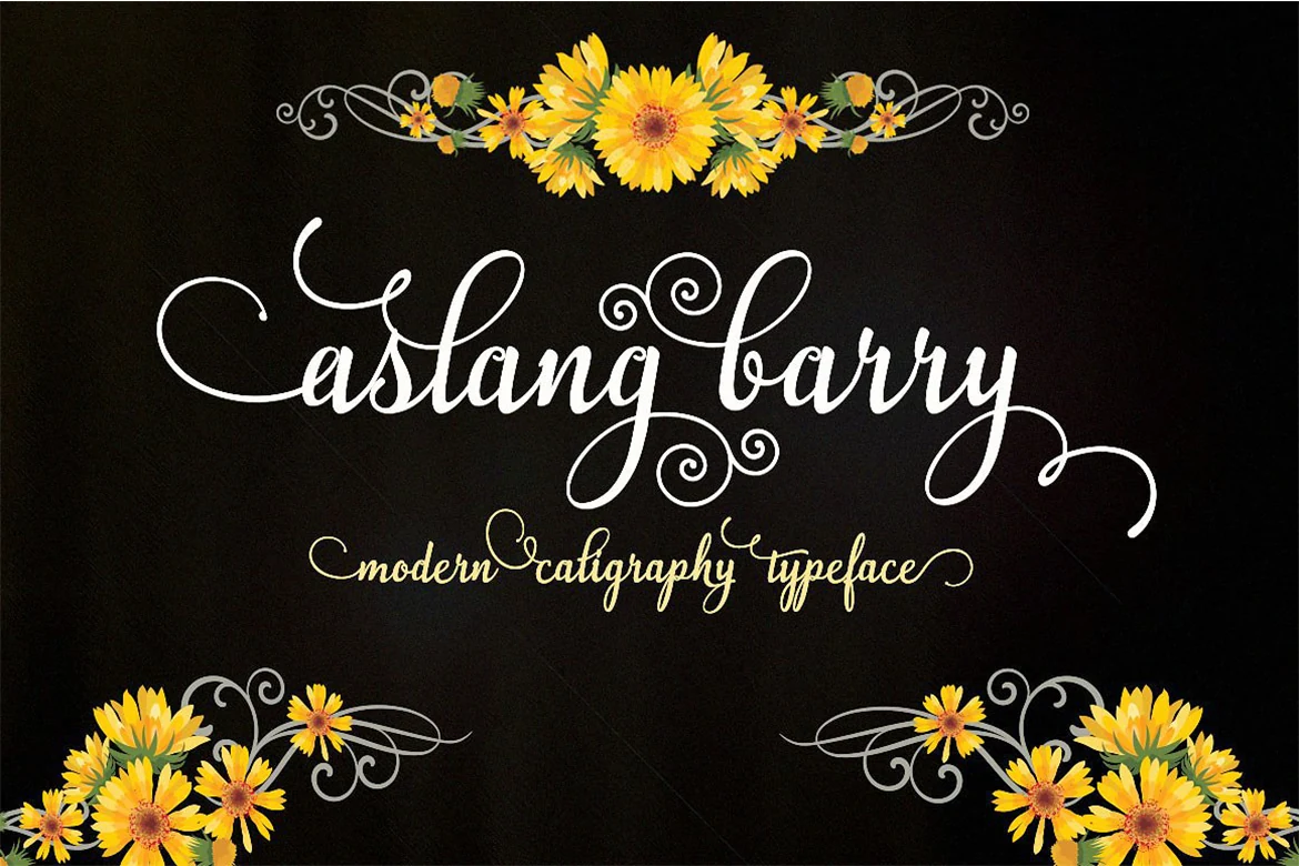 Aslang Barry Font preview in delicate white modern calligraphy with long swashes and curled flourishes
