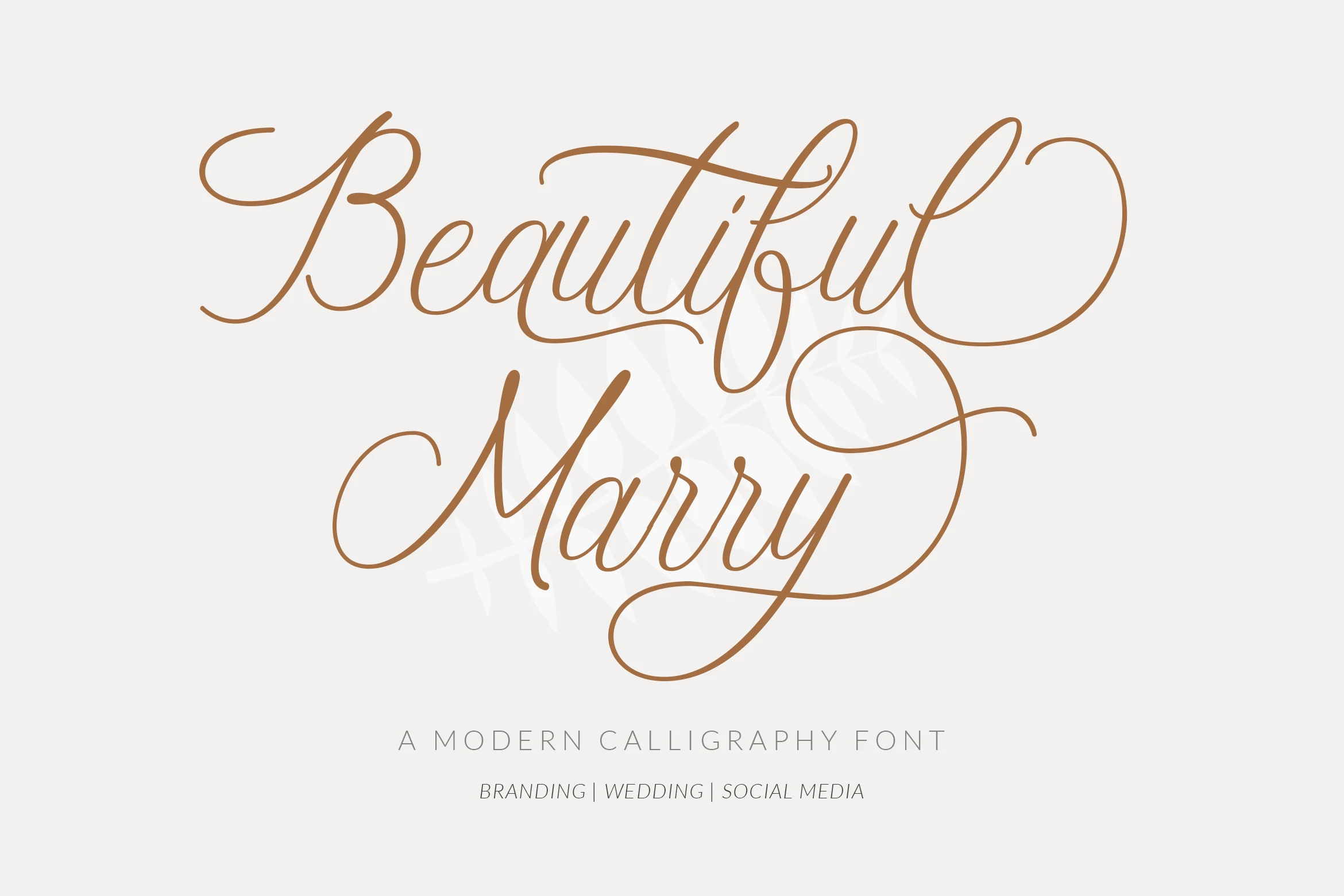 Beautiful Marry Font preview with thin looping brown calligraphy lettering