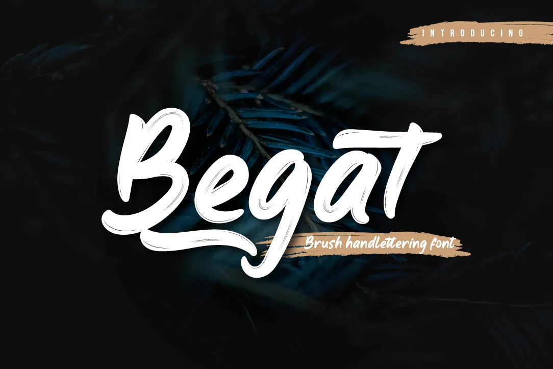 Begat Font preview with bold white brush script lettering, rounded strokes, and a sweeping underline