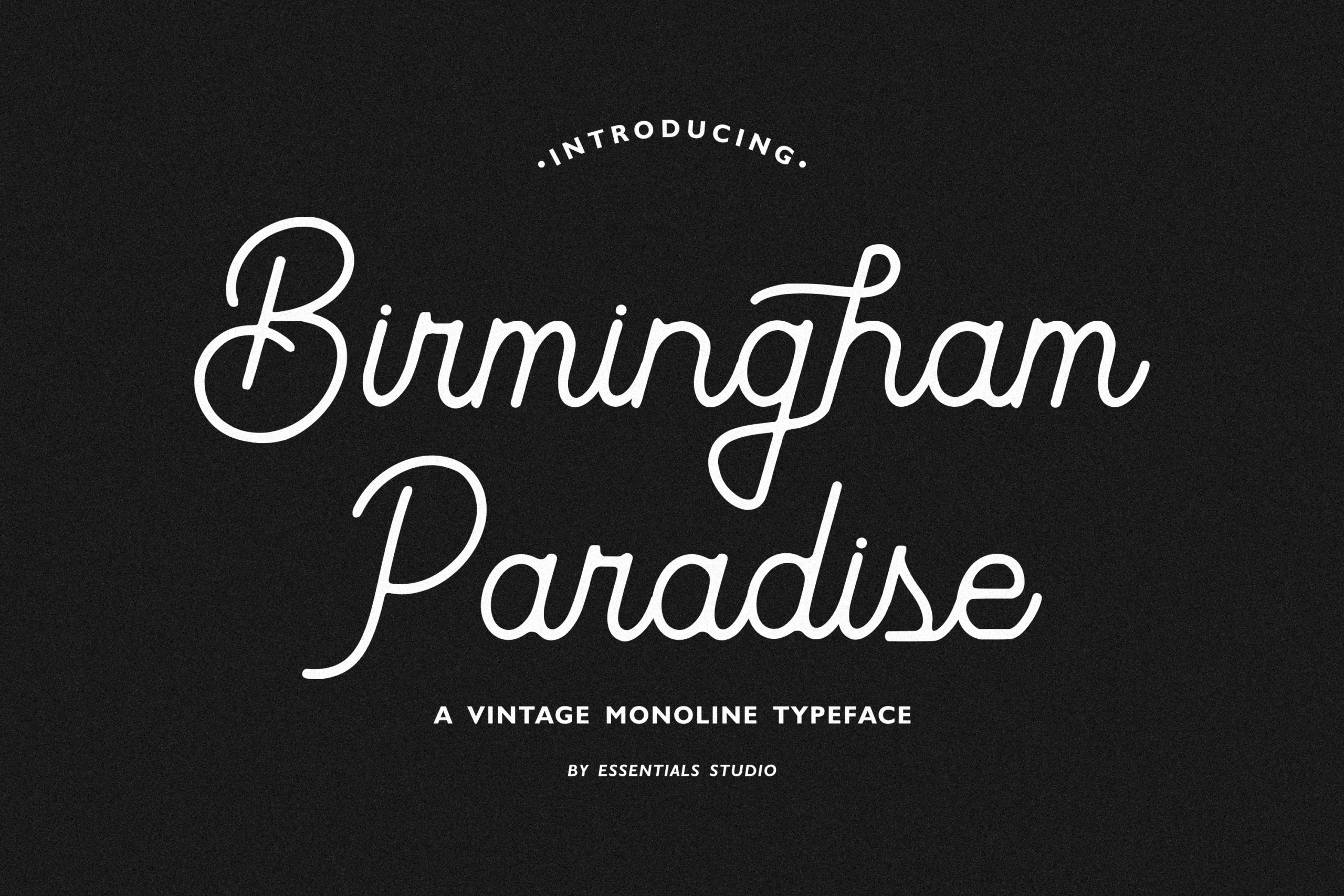 Birmingham Paradise Font preview with white monoline script lettering and rounded vintage shapes
