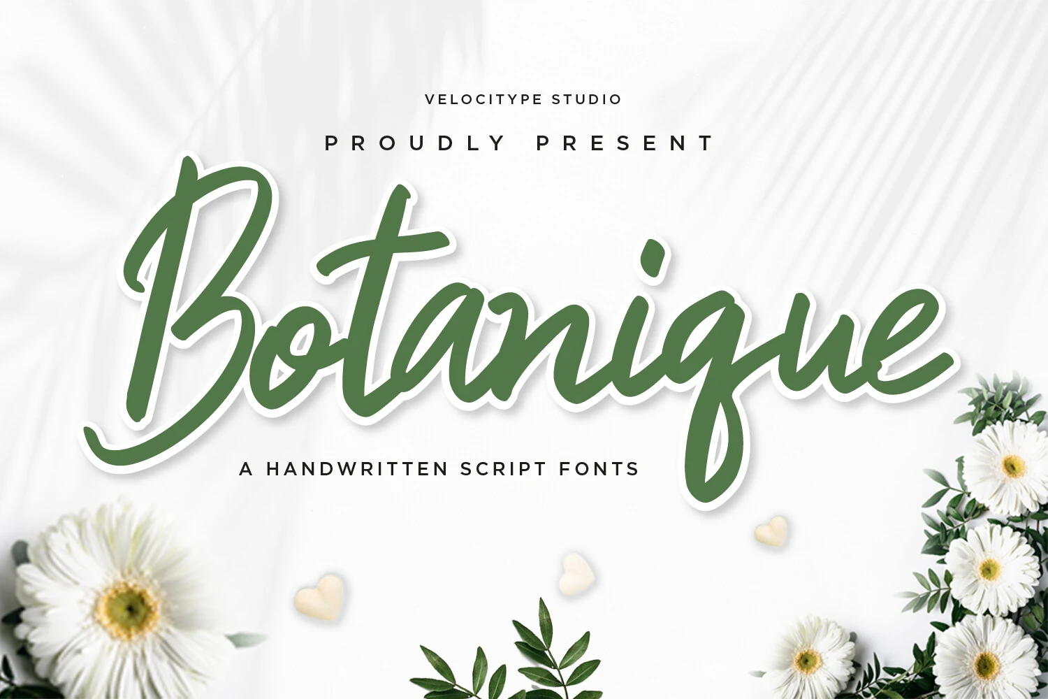 Botanique Font preview in bold green handwritten script with a sweeping capital B