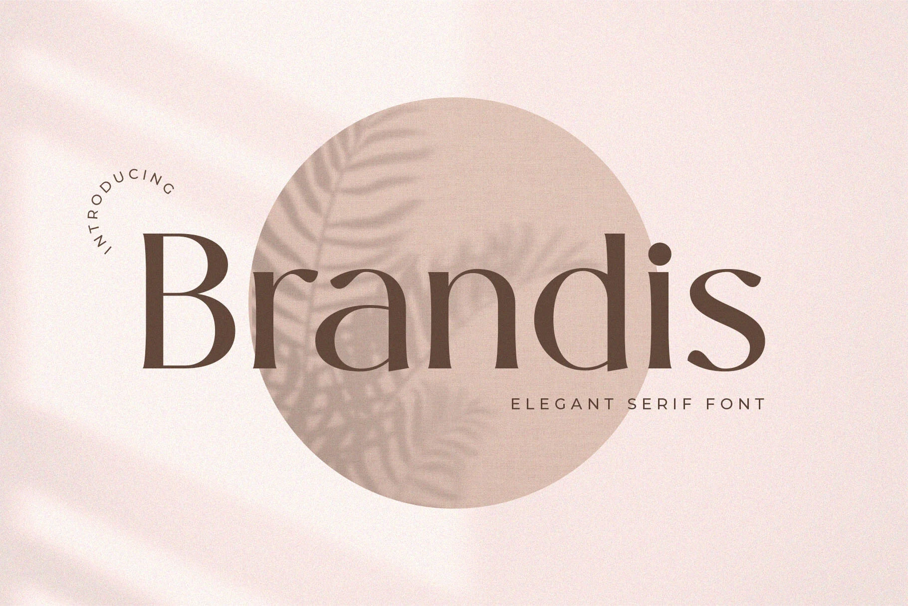 Brandis Font preview with elegant serif letters, sleek curves, and balanced contrast