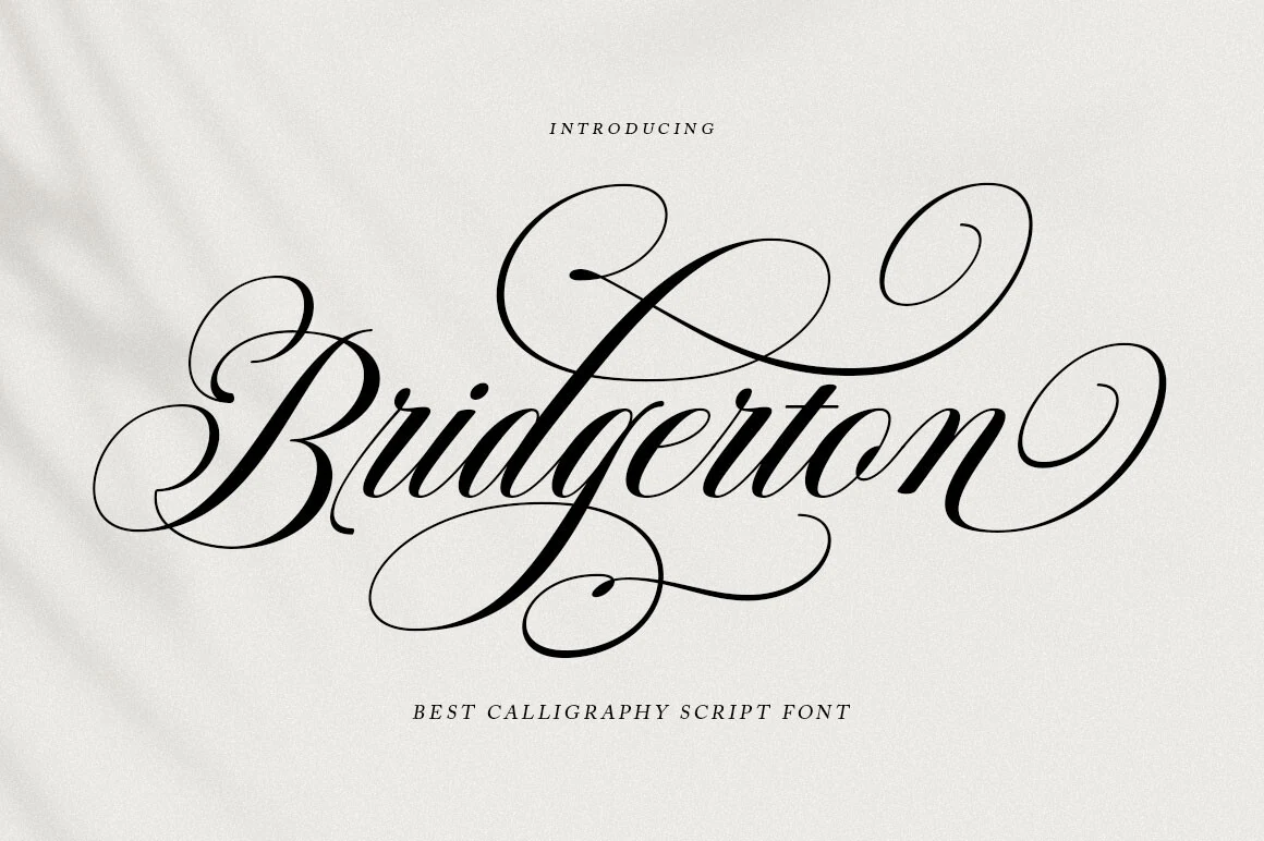 Bridgerton Font preview with elegant black calligraphy script and dramatic looping flourishes