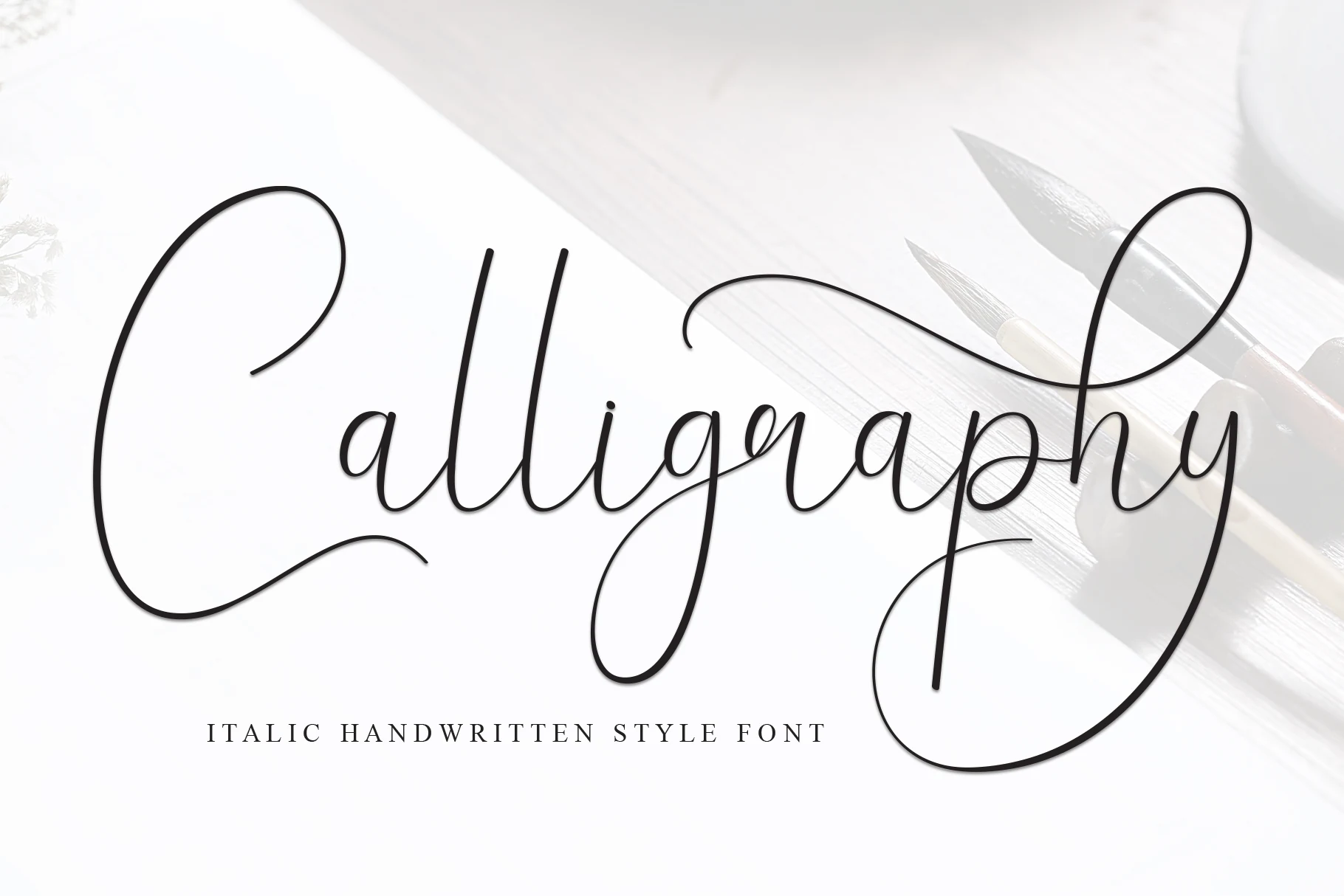 Calligraphy Font preview with thin black italic script lettering and long looping swashes