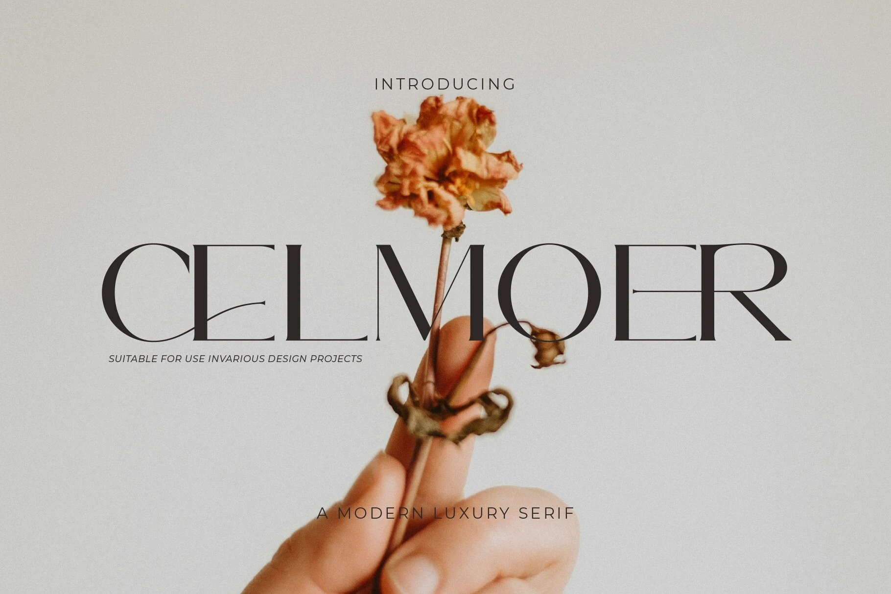 Celmoer Font preview with black high-contrast serif capitals over a hand holding a dried flower