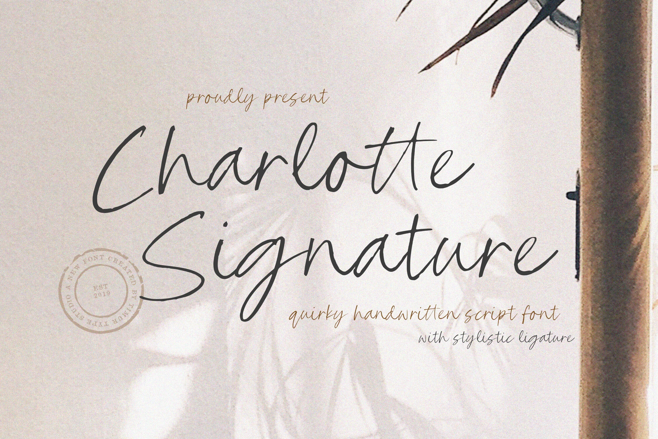 Charlotte Signature Font preview showing loose black handwritten script with irregular strokes and tall flowing letters