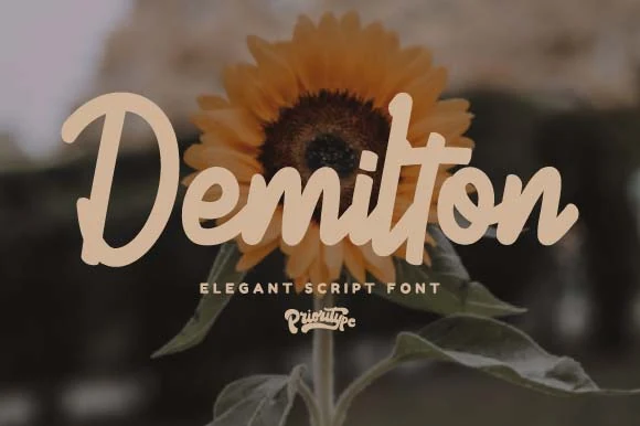 Demilton Font preview in smooth beige brush script with rounded strokes and an elegant handwritten look
