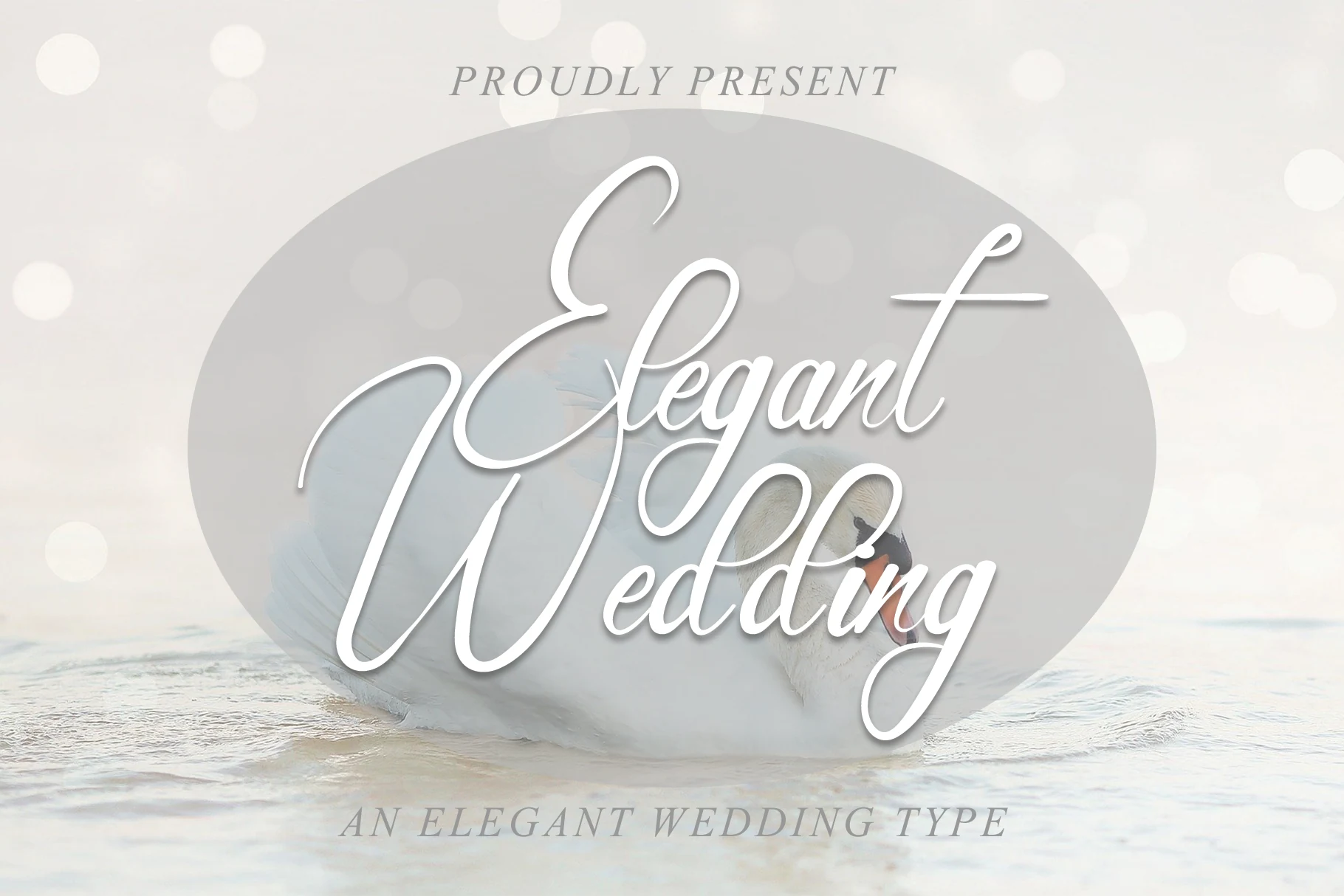 Elegant Wedding Font preview with thin white script lettering, long flourishes, and delicate handwritten strokes