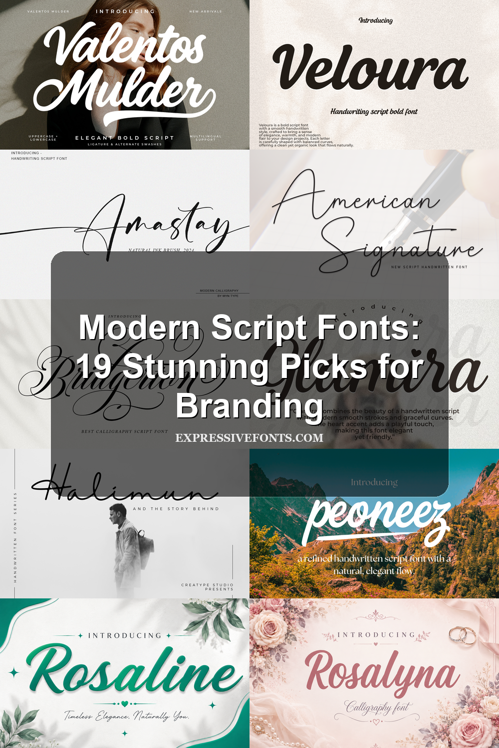 Cover image with preview samples from Modern Script Fonts: 19 Stunning Picks for Branding