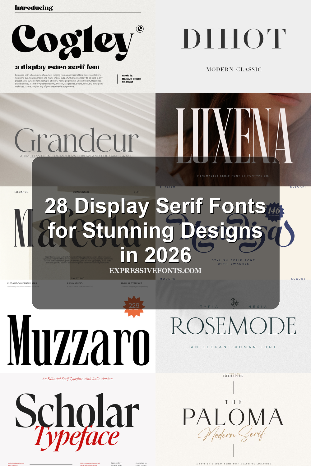 Cover image showing previews of display serif fonts from the article 28 Display Serif Fonts for Stunning Designs in 2026