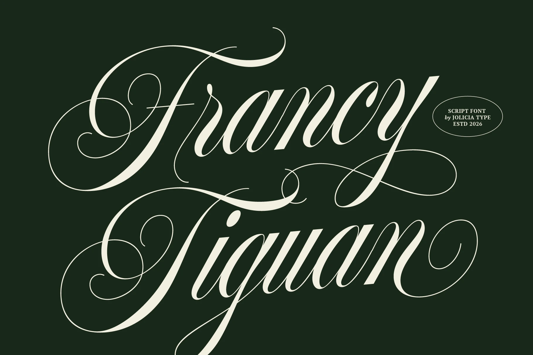 Francy Tiguan Font preview with elegant script lettering, sweeping swashes, and high-contrast strokes