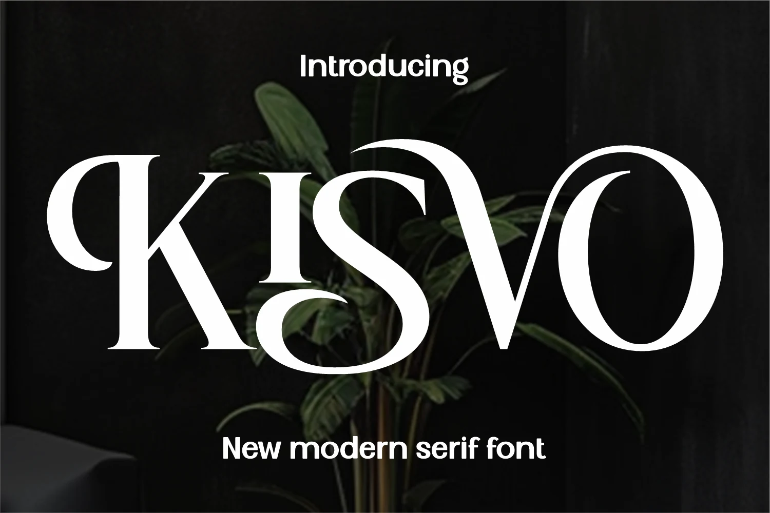 Kisvo Font preview in a high-contrast elegant serif style with dramatic curves and white lettering