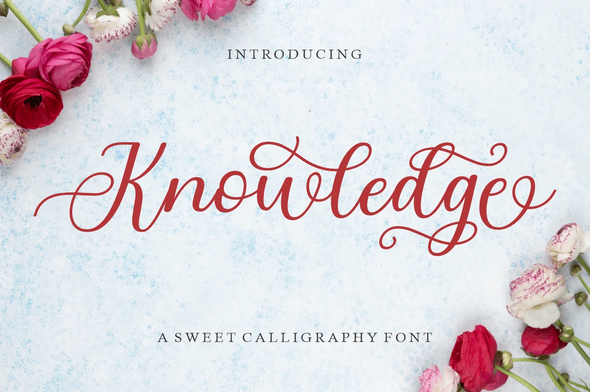 Knowledge Font preview with red elegant script lettering and long ornamental swashes