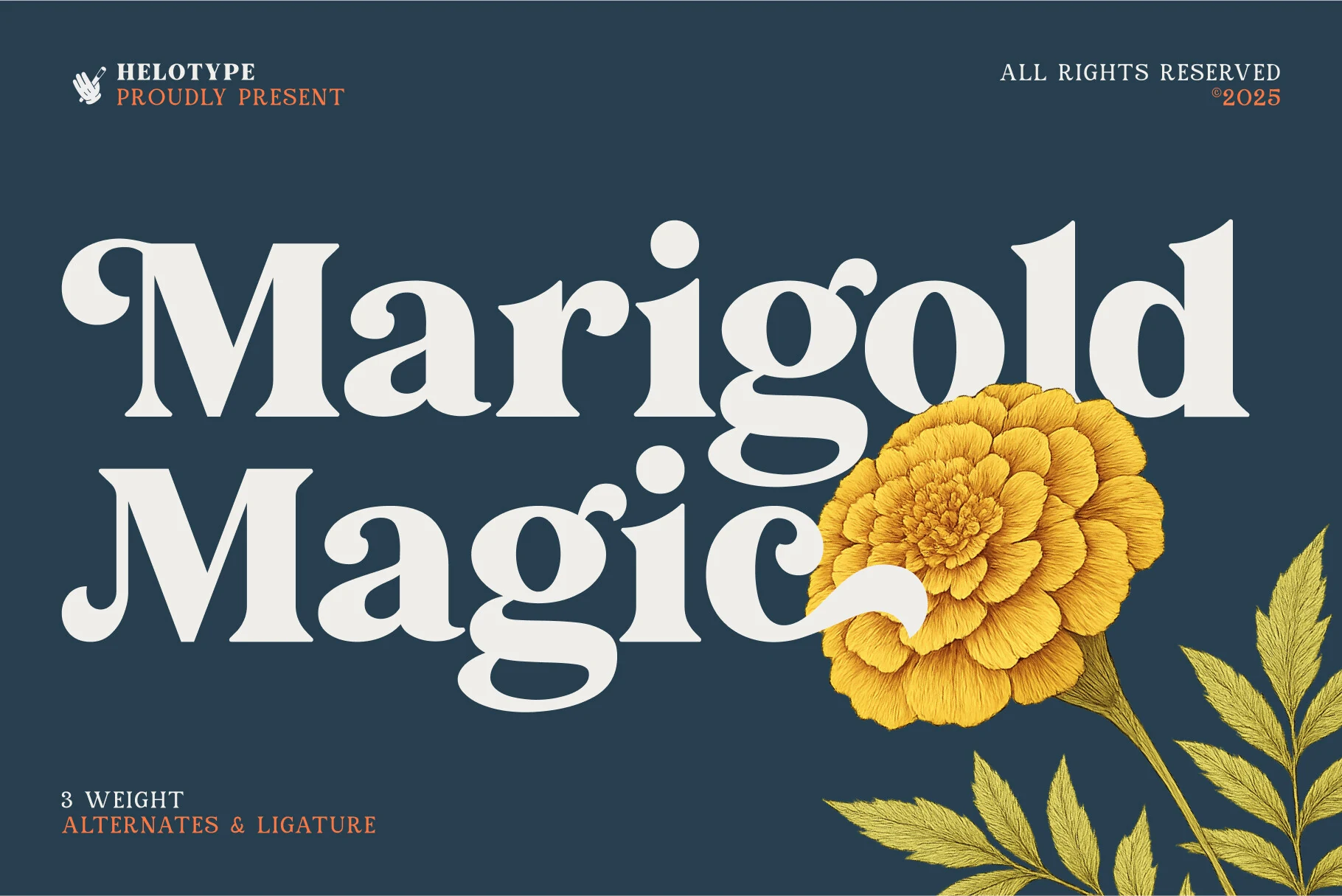 Marigold Magic Font preview with bold vintage serif lettering and a yellow floral illustration
