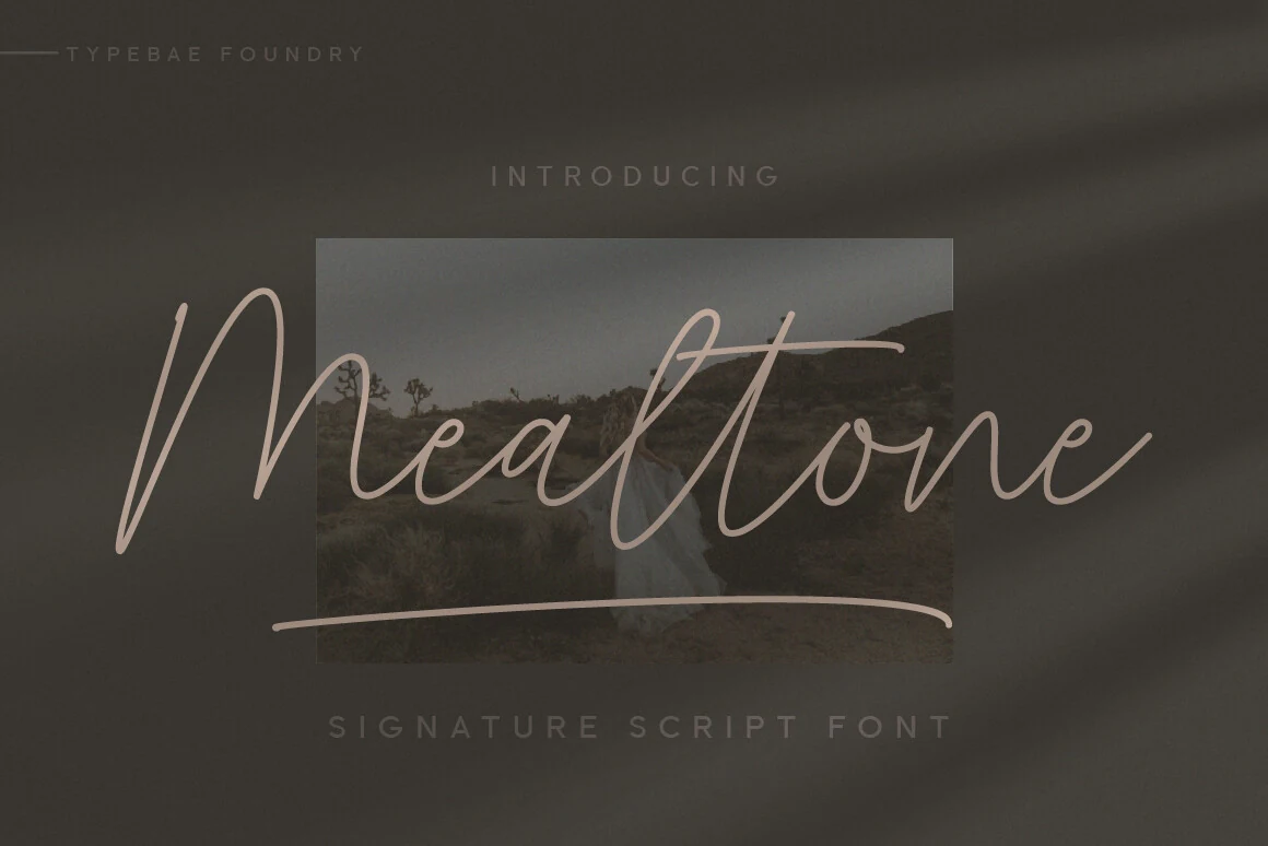 Mealtone Font thin signature script with soft pink lettering and a long underline swash