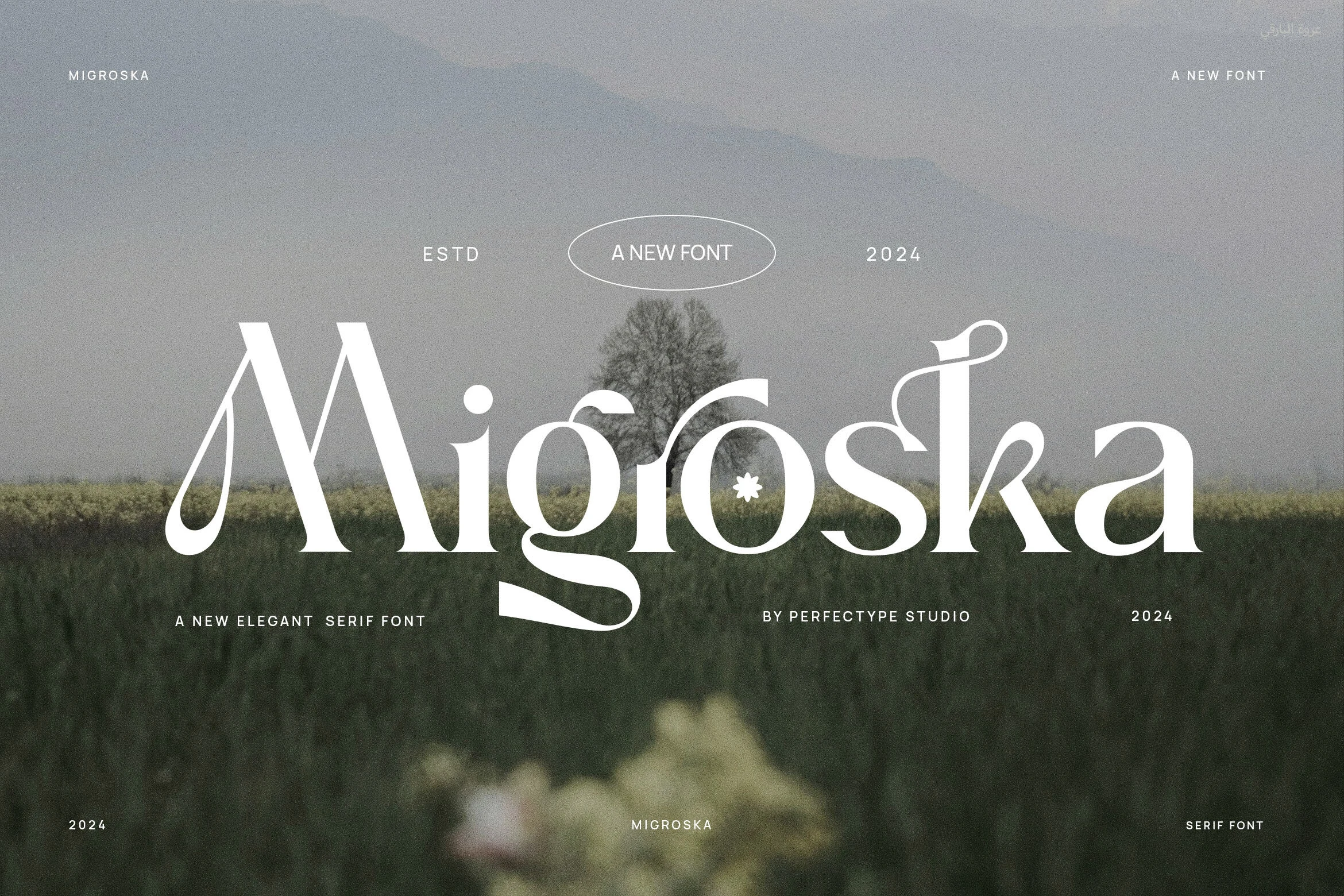 Migroska Font preview with white decorative serif lettering, elegant ligatures, and sweeping descenders