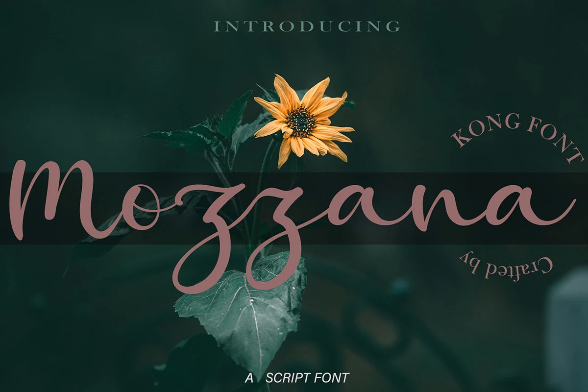 Mozzana Font preview with soft pink connected handwritten script and long looping strokes