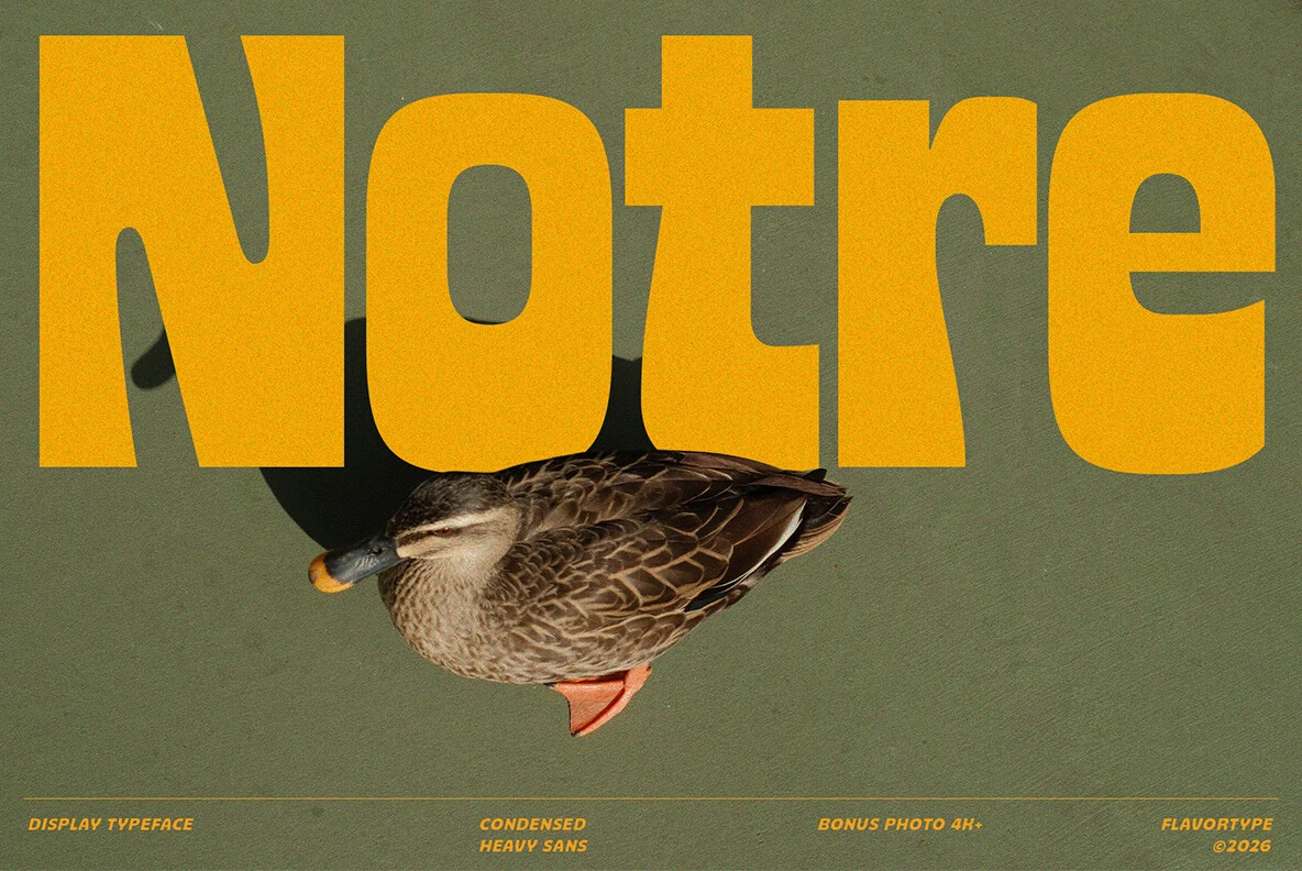 Notre Font preview in bold condensed yellow sans lettering with rounded curves