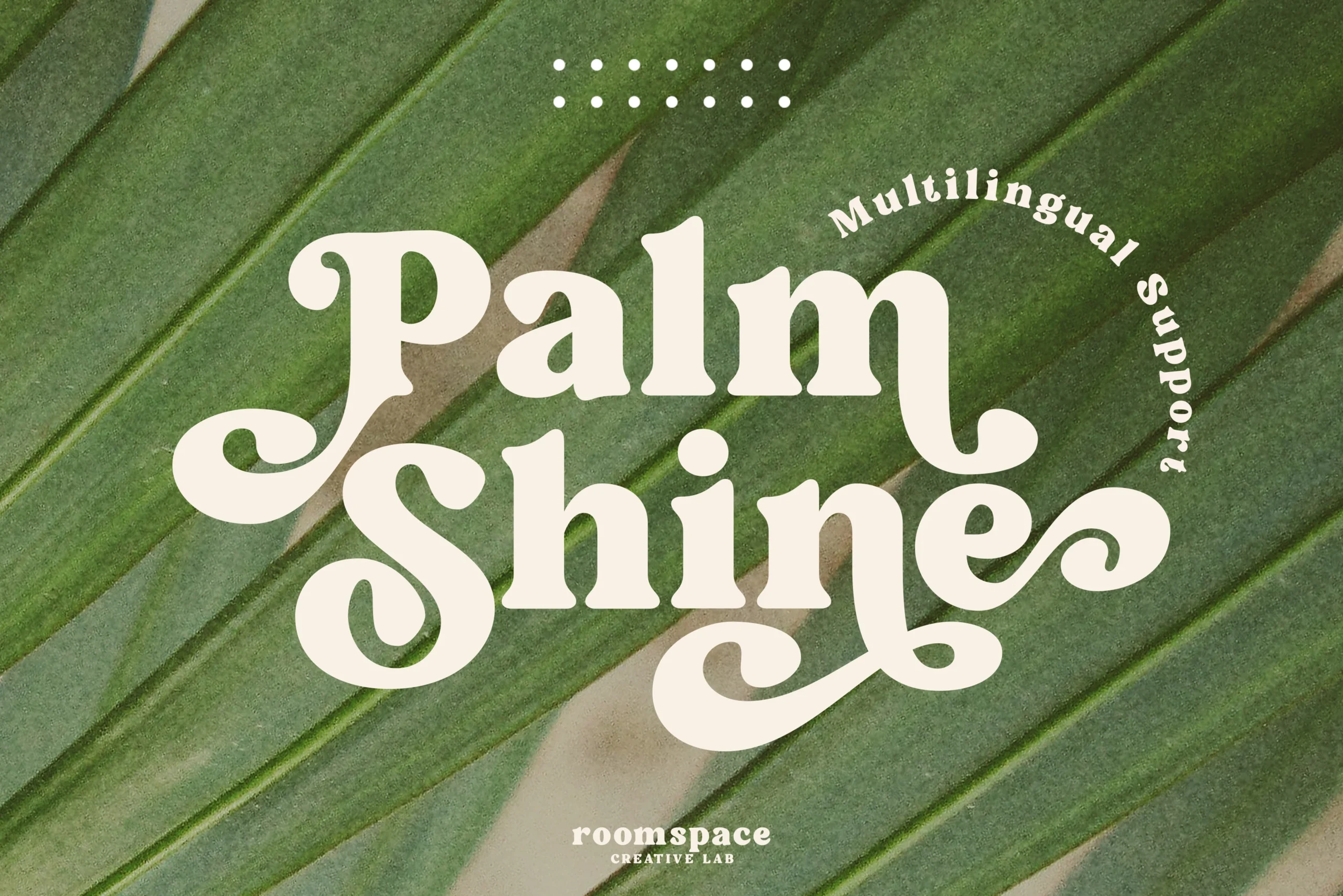 Palm Shine Font preview with bold retro serif lettering and curled swashes