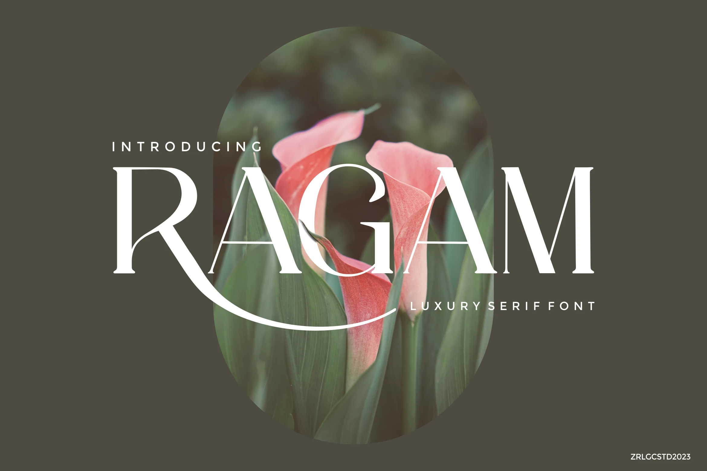 Ragam Luxury Font preview with refined white serif lettering and a long sweeping capital R curve